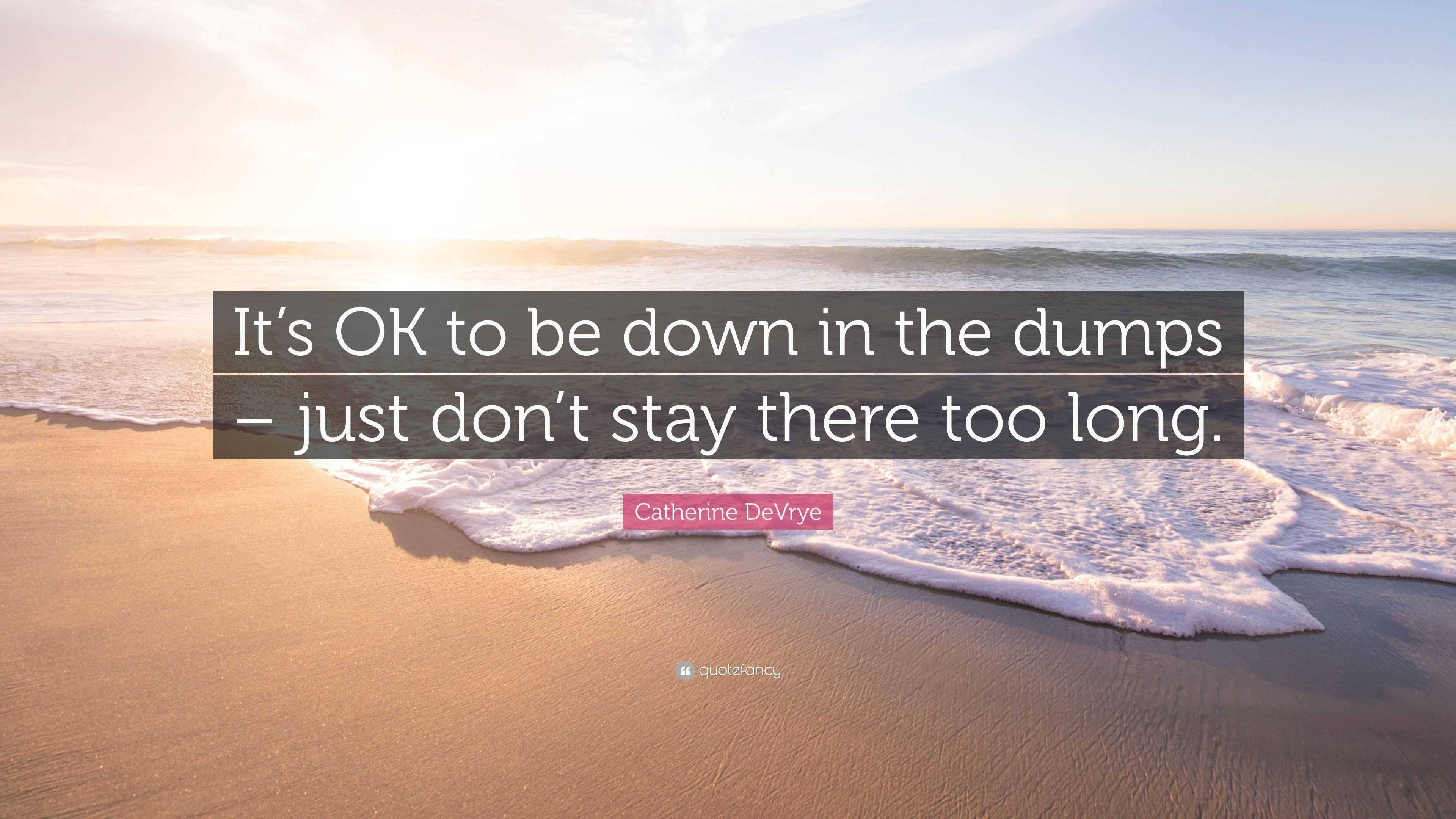 Catherine DeVrye Quote “It’s OK to be down in the dumps just don’t