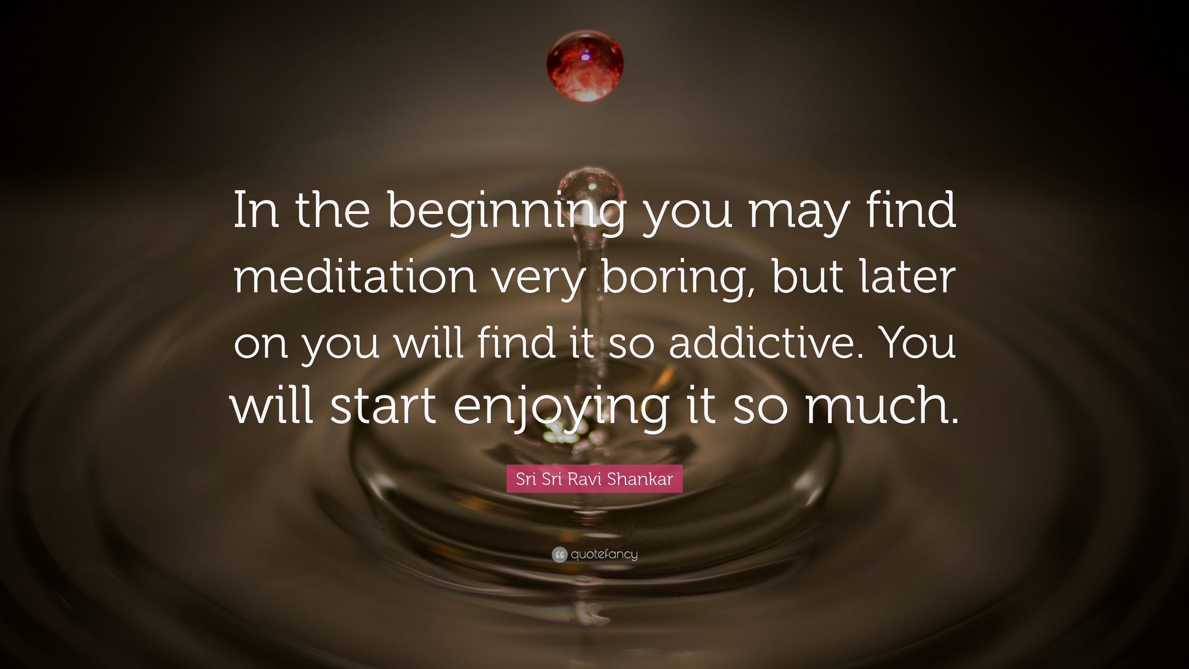 Sri Sri Ravi Shankar Quote “In the beginning you may find
