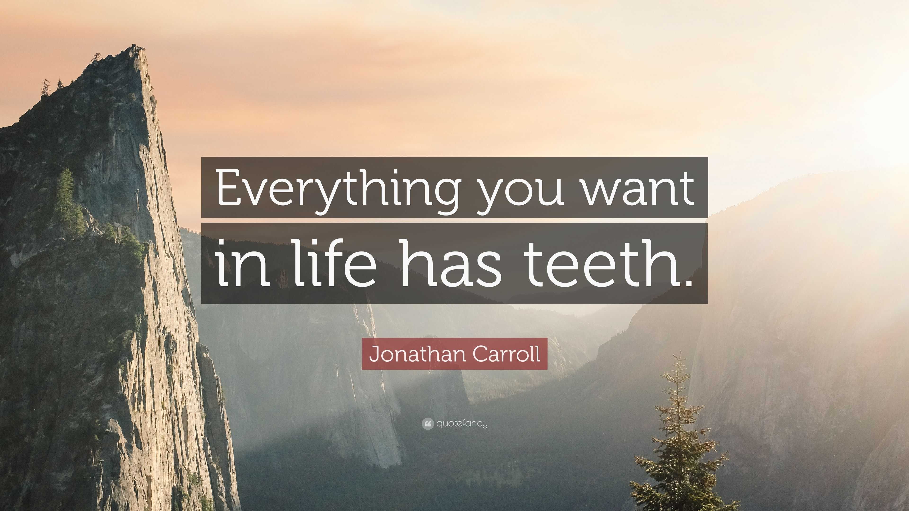 Jonathan Carroll Quote: “Everything you want in life has teeth.”