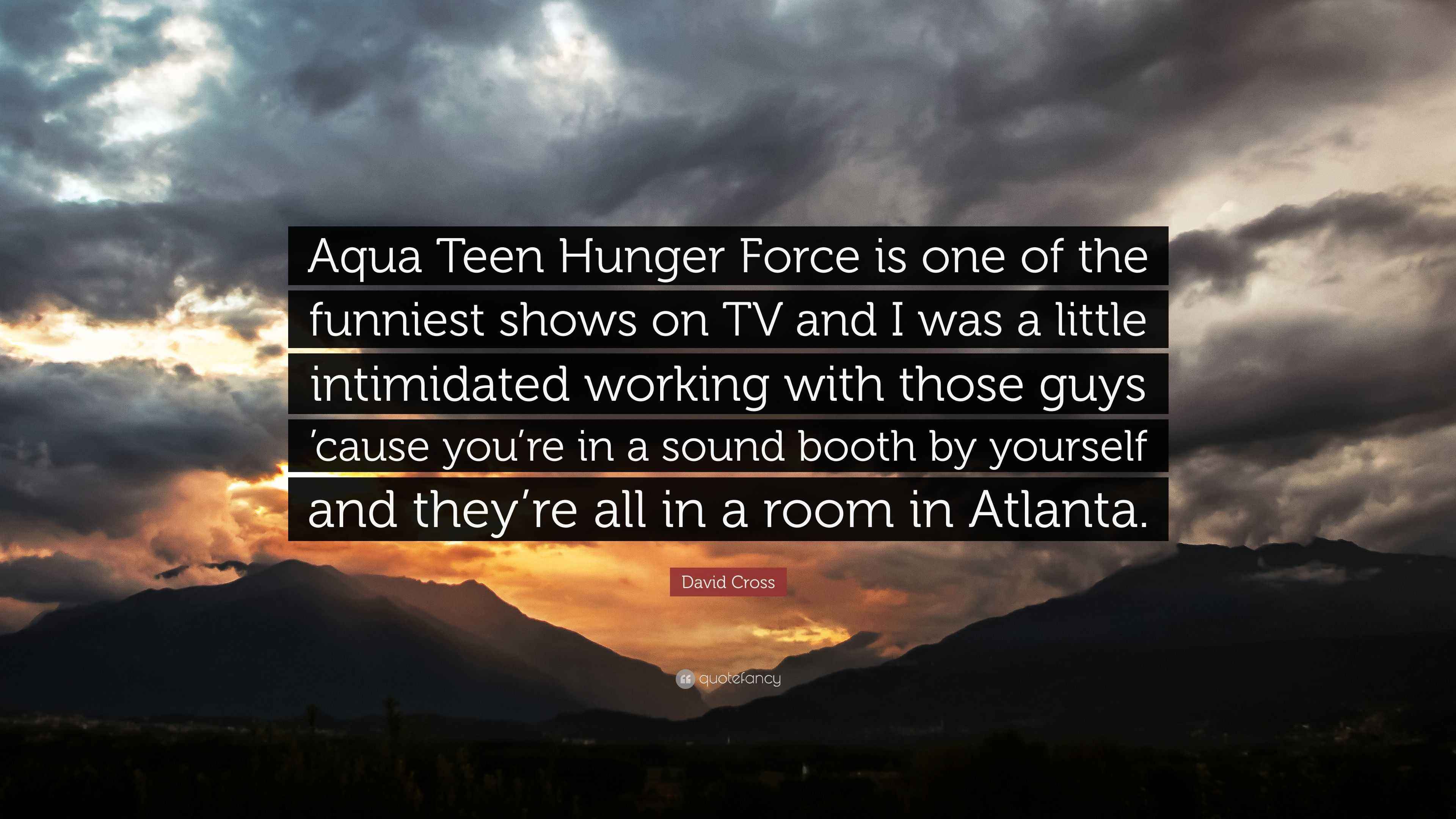 David Cross Quote: “Aqua Teen Hunger Force is one of the funniest shows ...
