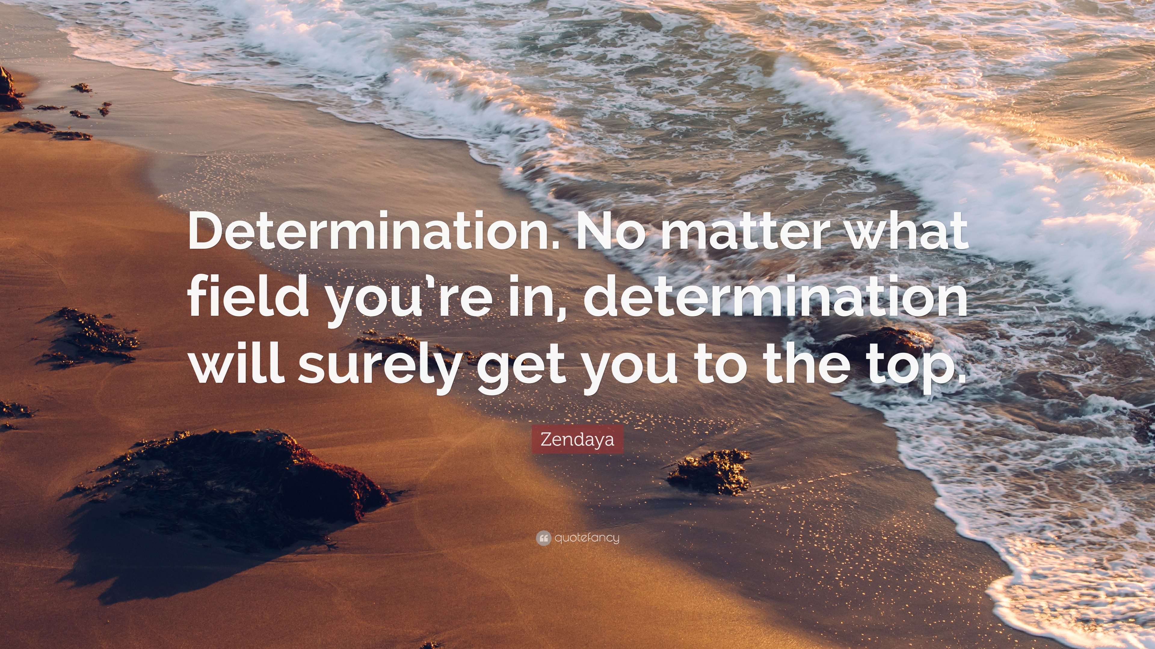 Zendaya Quote: “Determination. No matter what field you’re in