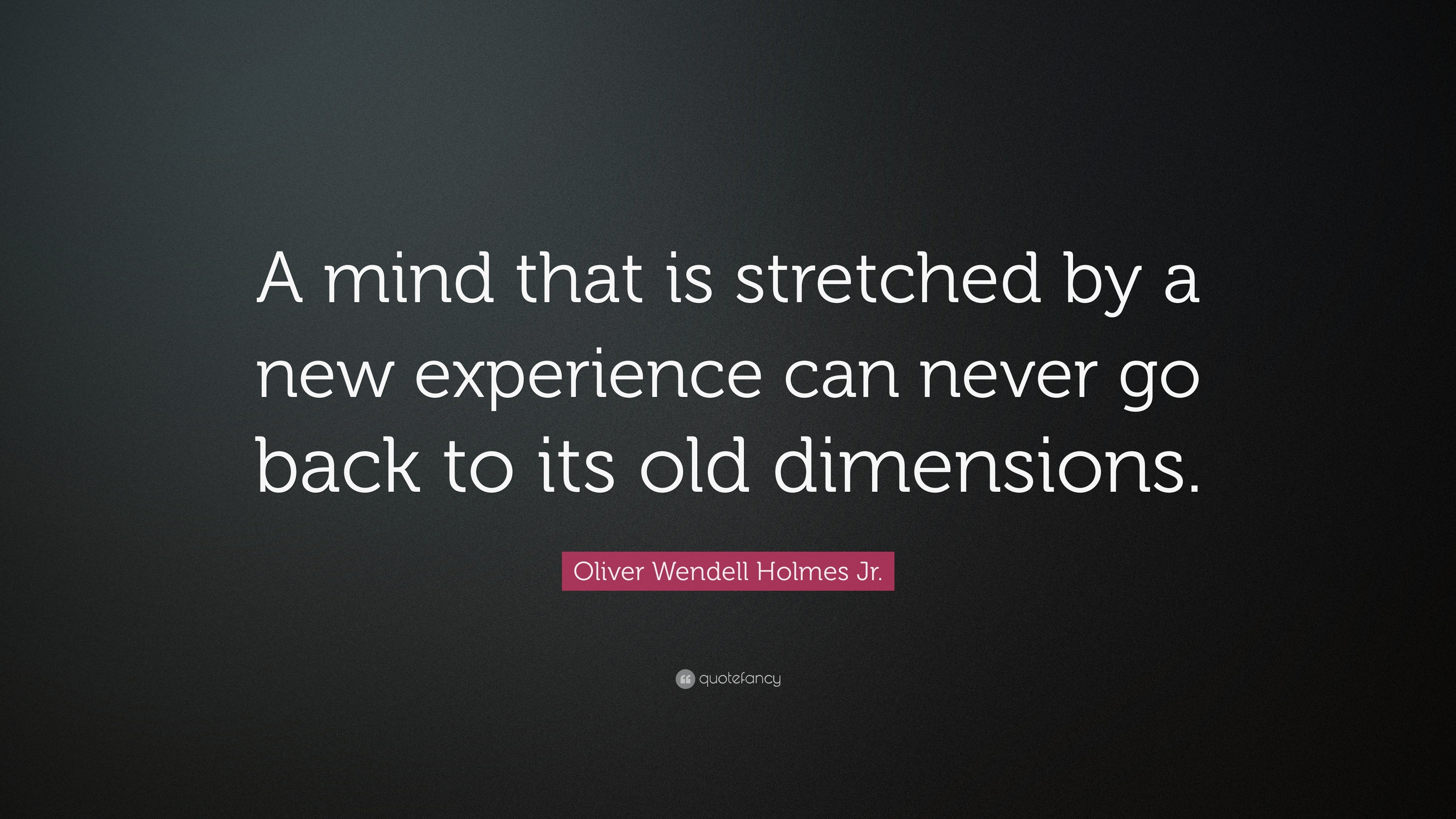 Oliver Wendell Holmes Jr. Quote: “A mind that is stretched by a new