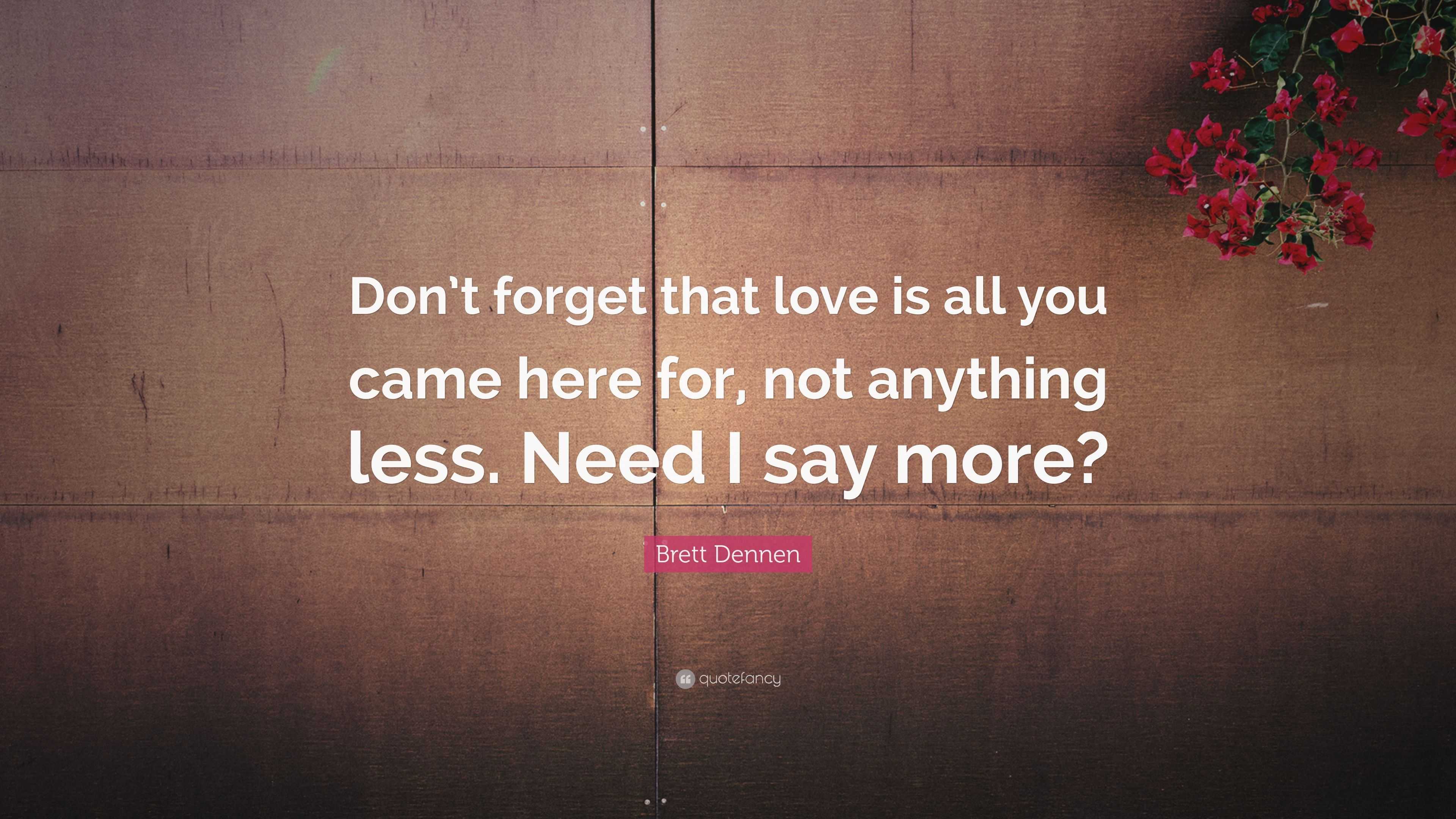 Brett Dennen Quote: “Don’t forget that love is all you came here for ...