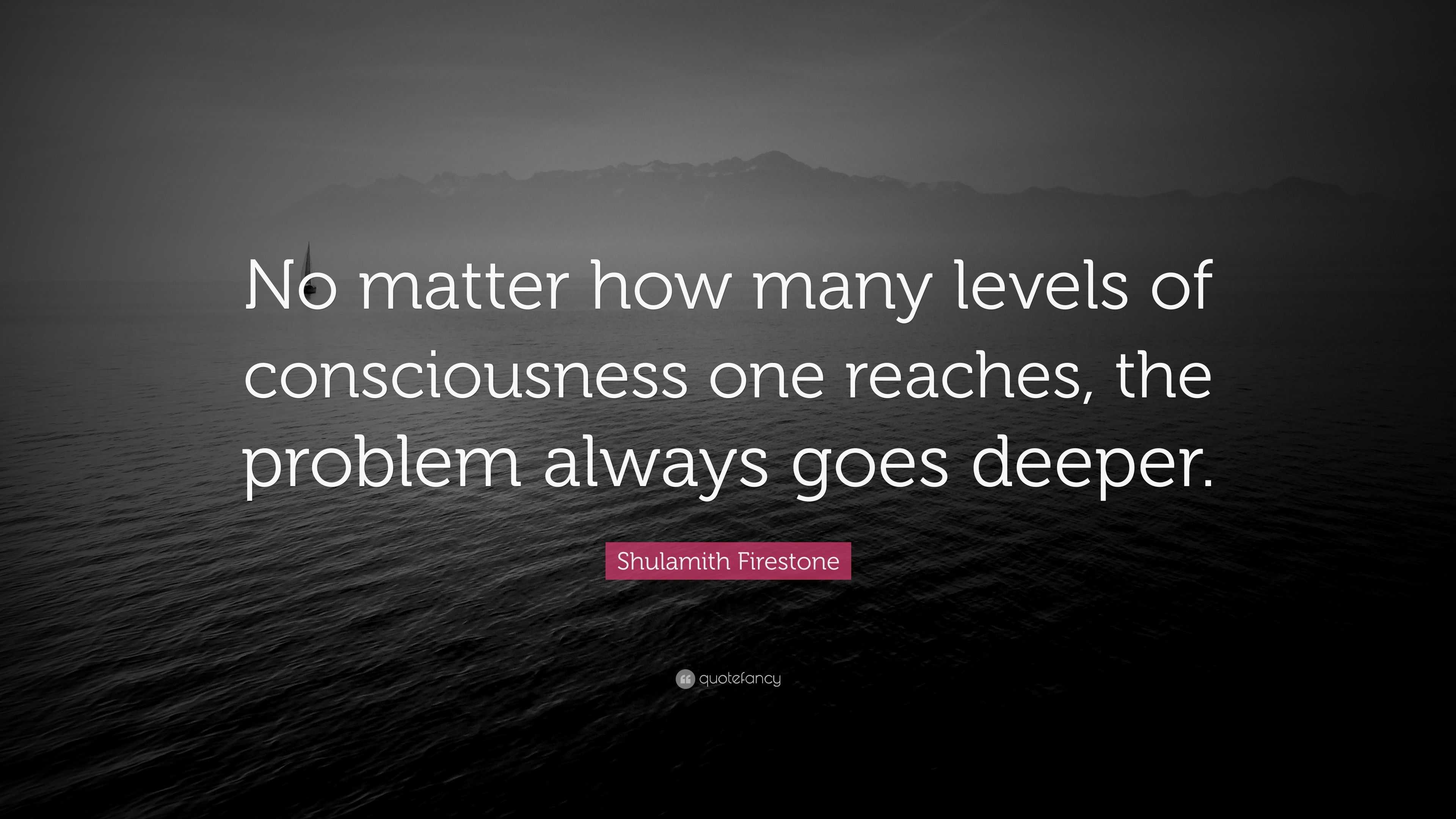 Shulamith Firestone Quote: “No matter how many levels of consciousness ...