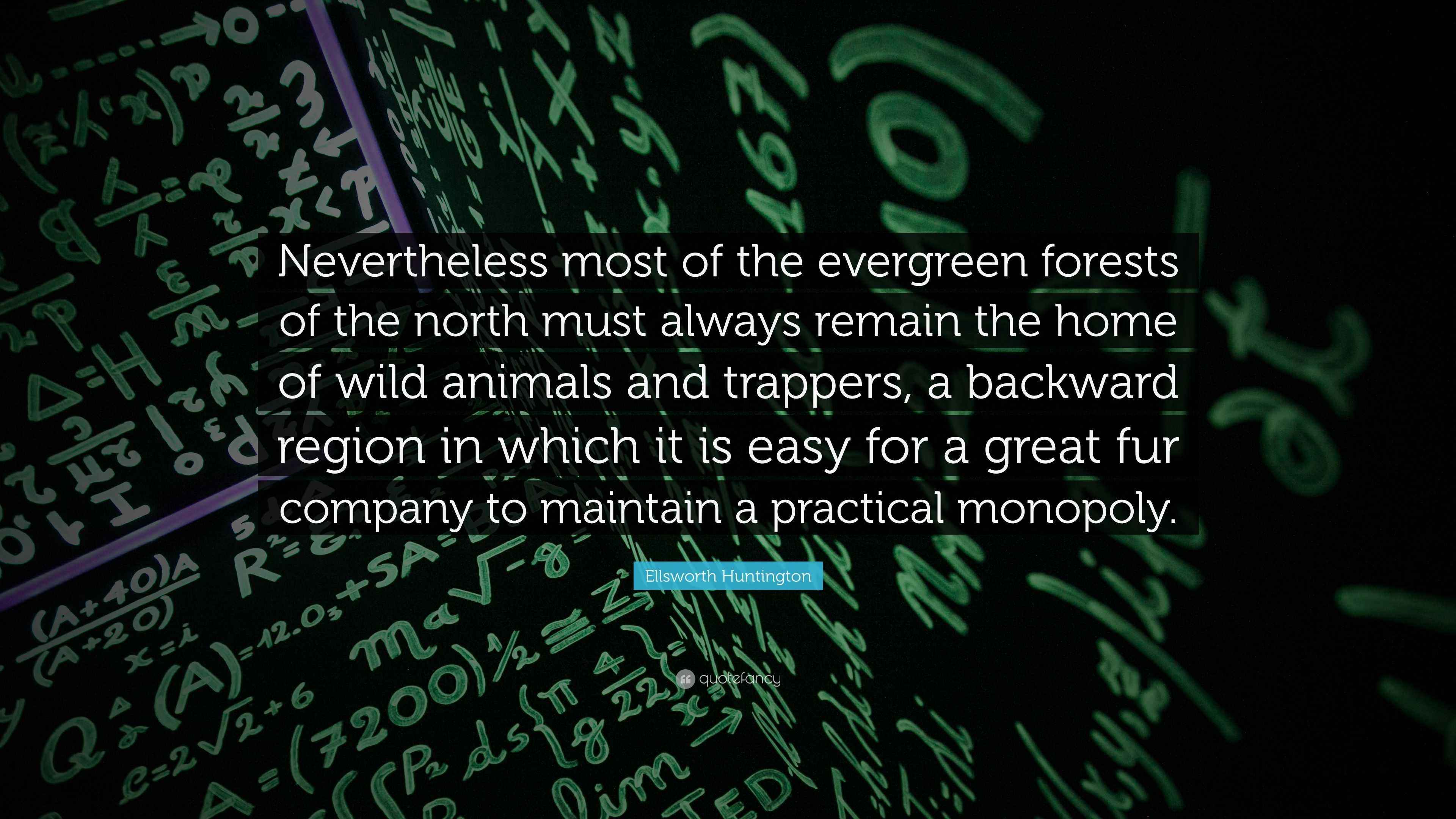Ellsworth Huntington Quote “Nevertheless most of the evergreen forests