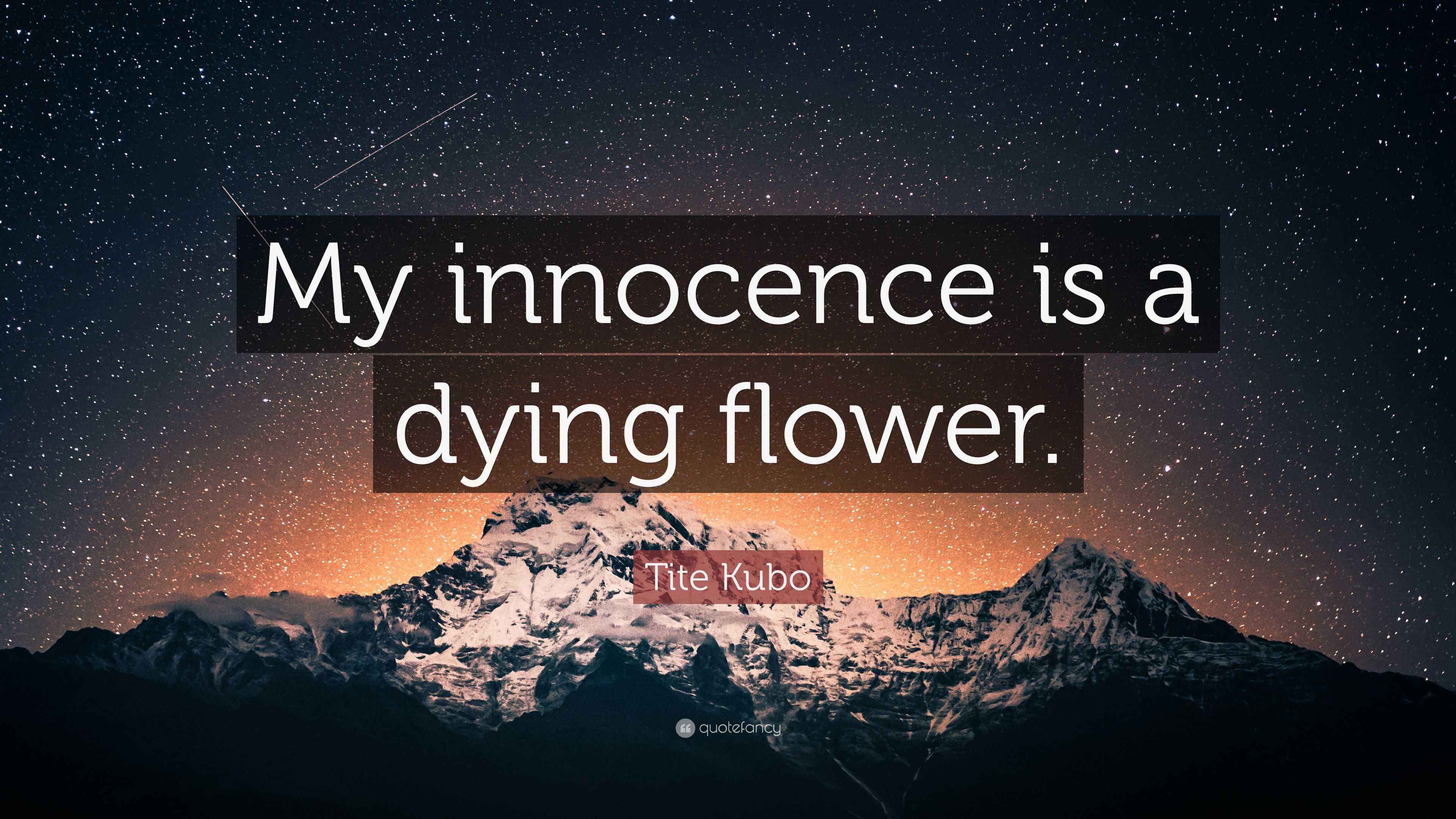 Tite Kubo Quote “My innocence is a dying flower.”