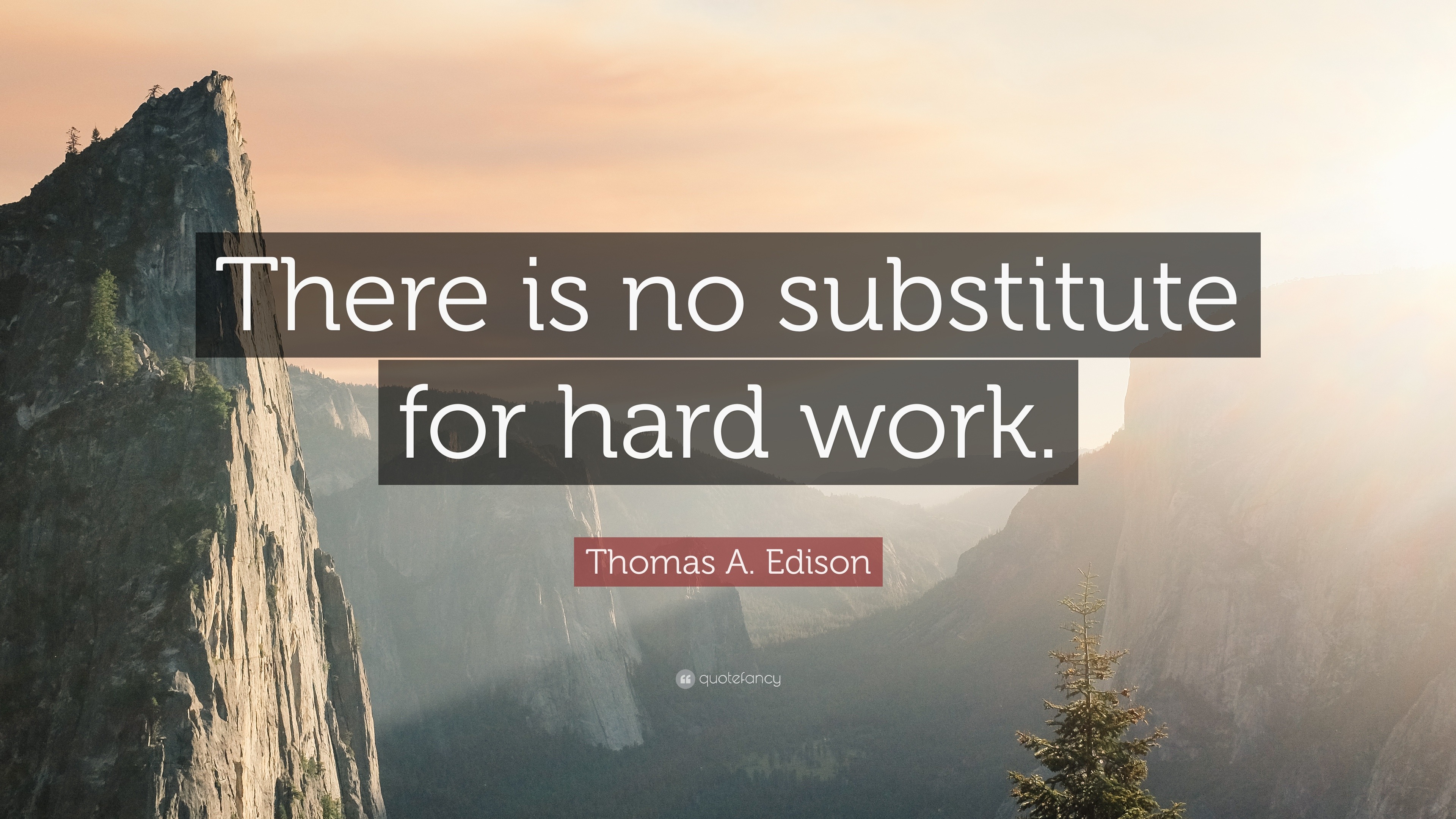 essay on there is no substitute for hard work