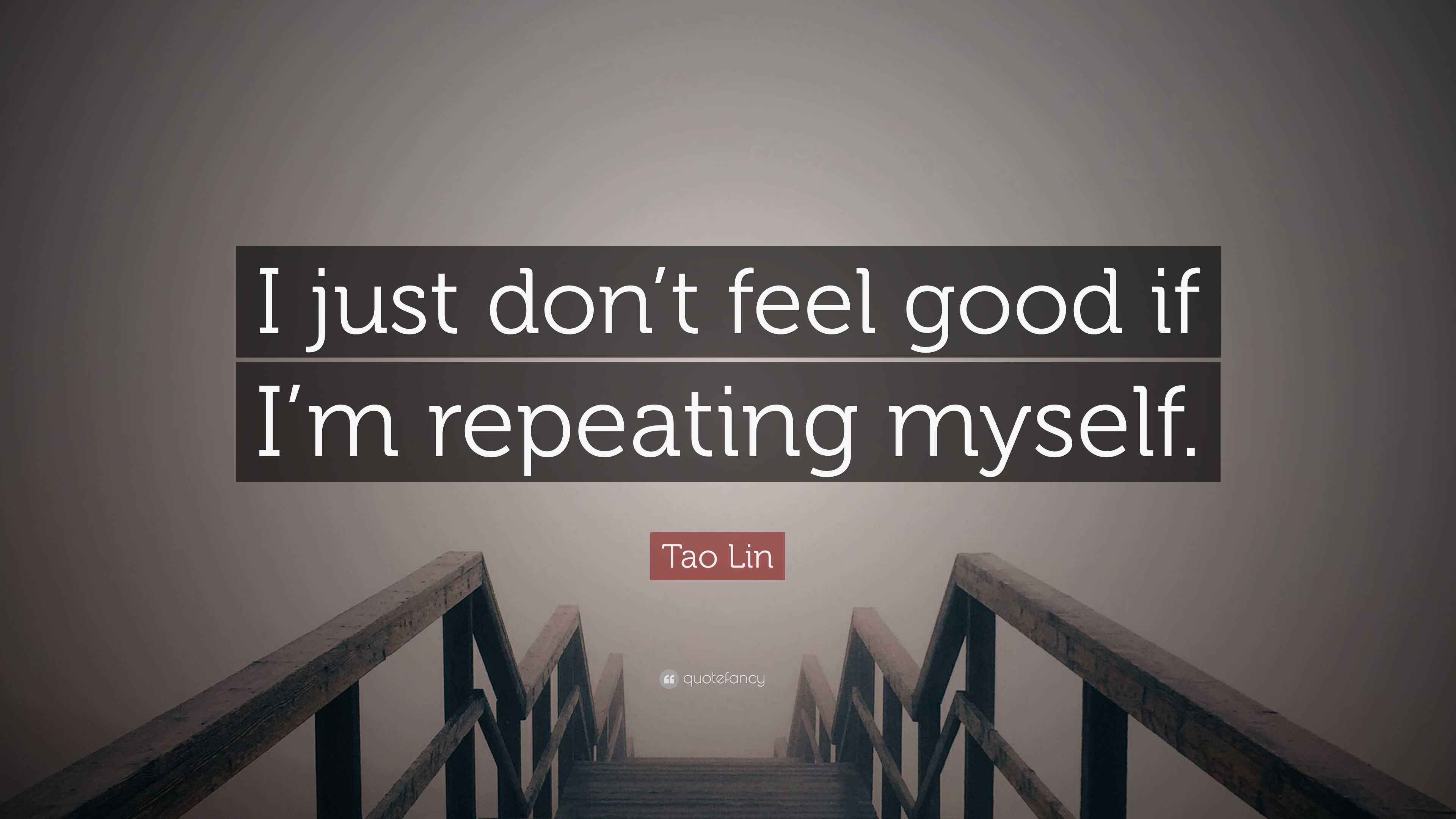 Tao Lin Quote I Just Don T Feel Good If I M Repeating Myself 7 Wallpapers Quotefancy