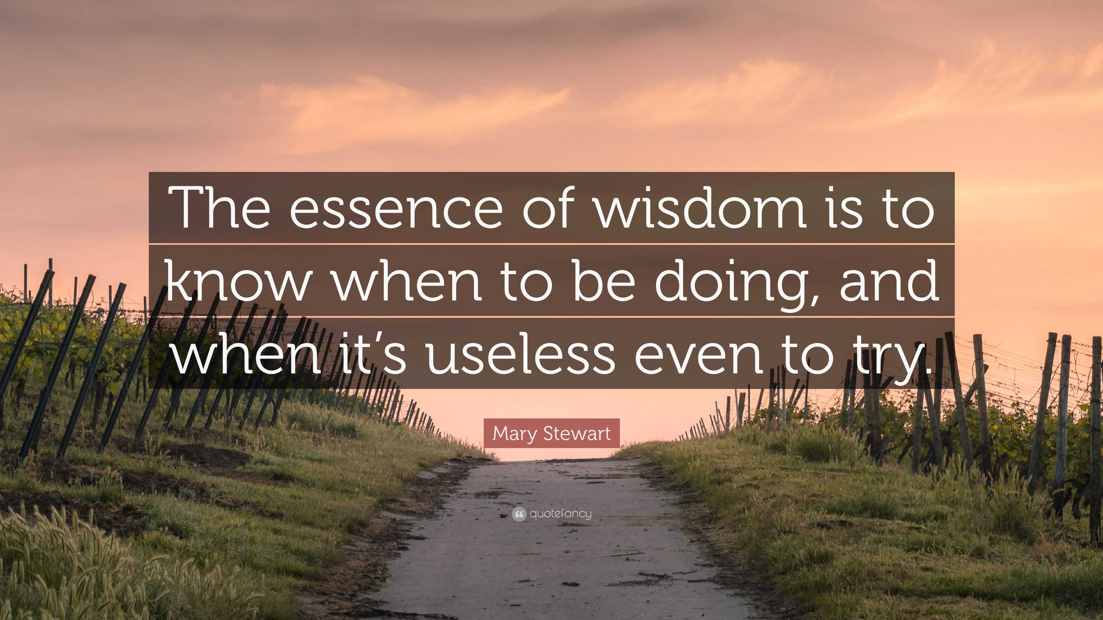 Mary Stewart Quote: “The essence of wisdom is to know when to be doing ...