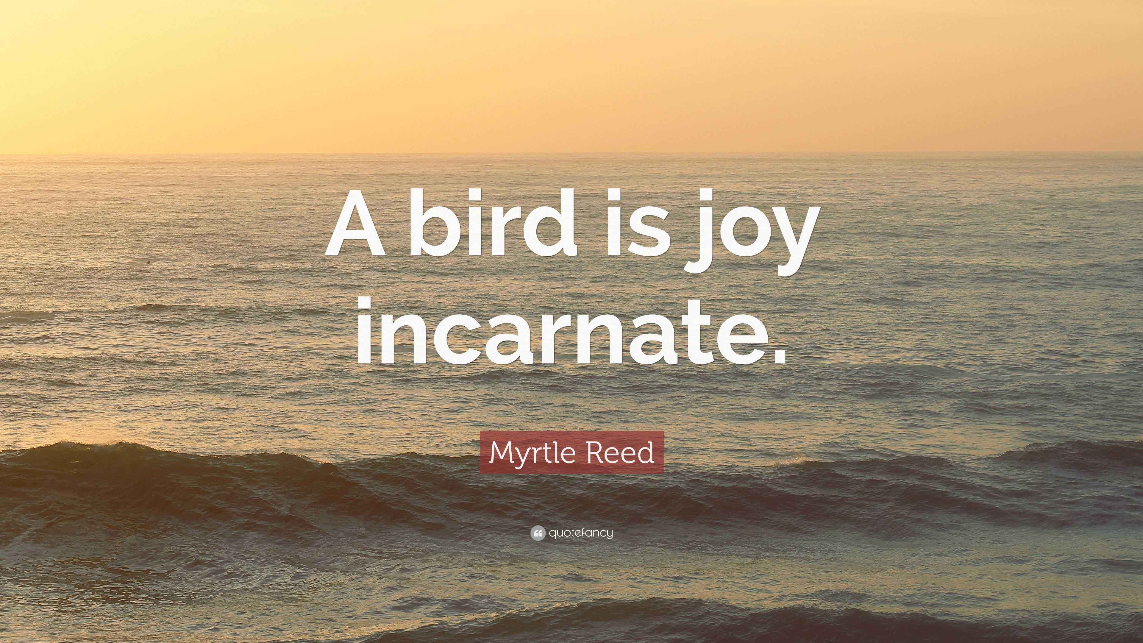 Myrtle Reed Quote: “A bird is joy incarnate.”