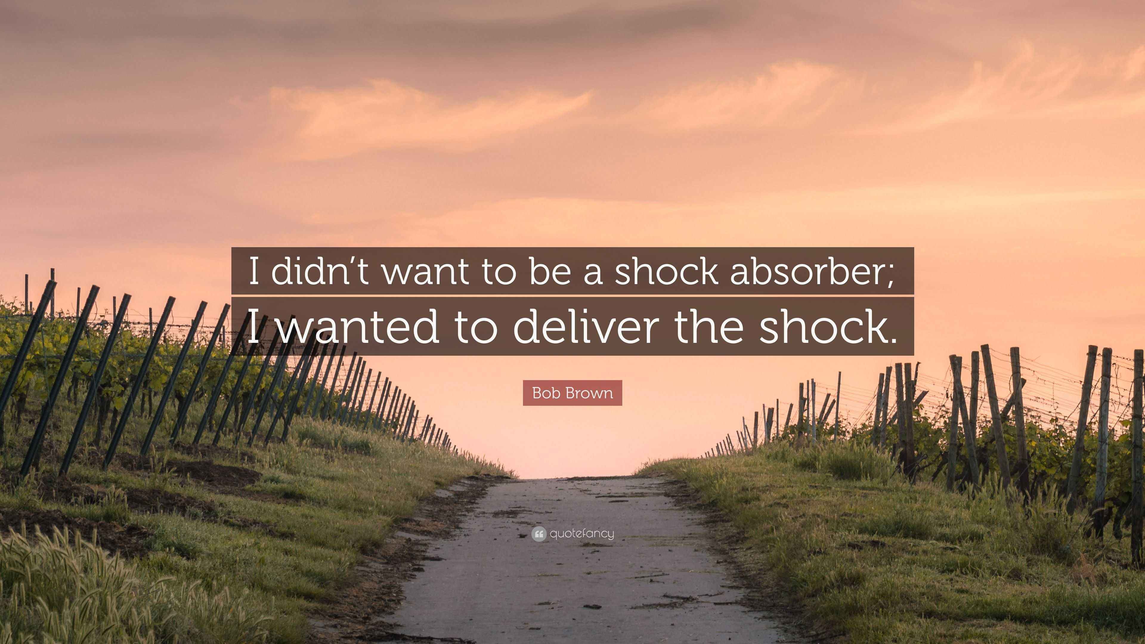Bob Brown Quote “I didn’t want to be a shock absorber; I wanted to