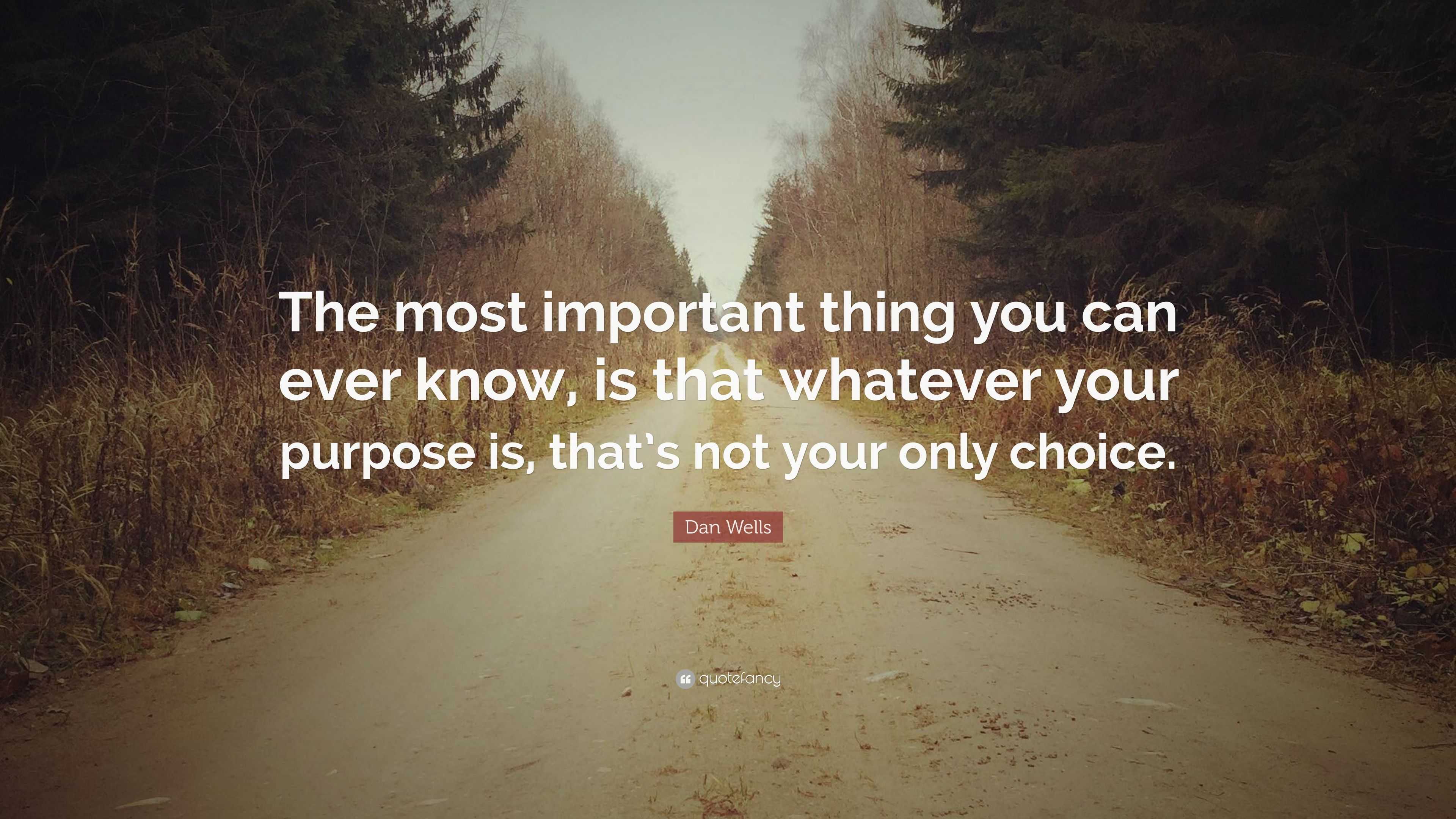 Dan Wells Quote: “The most important thing you can ever know, is that ...