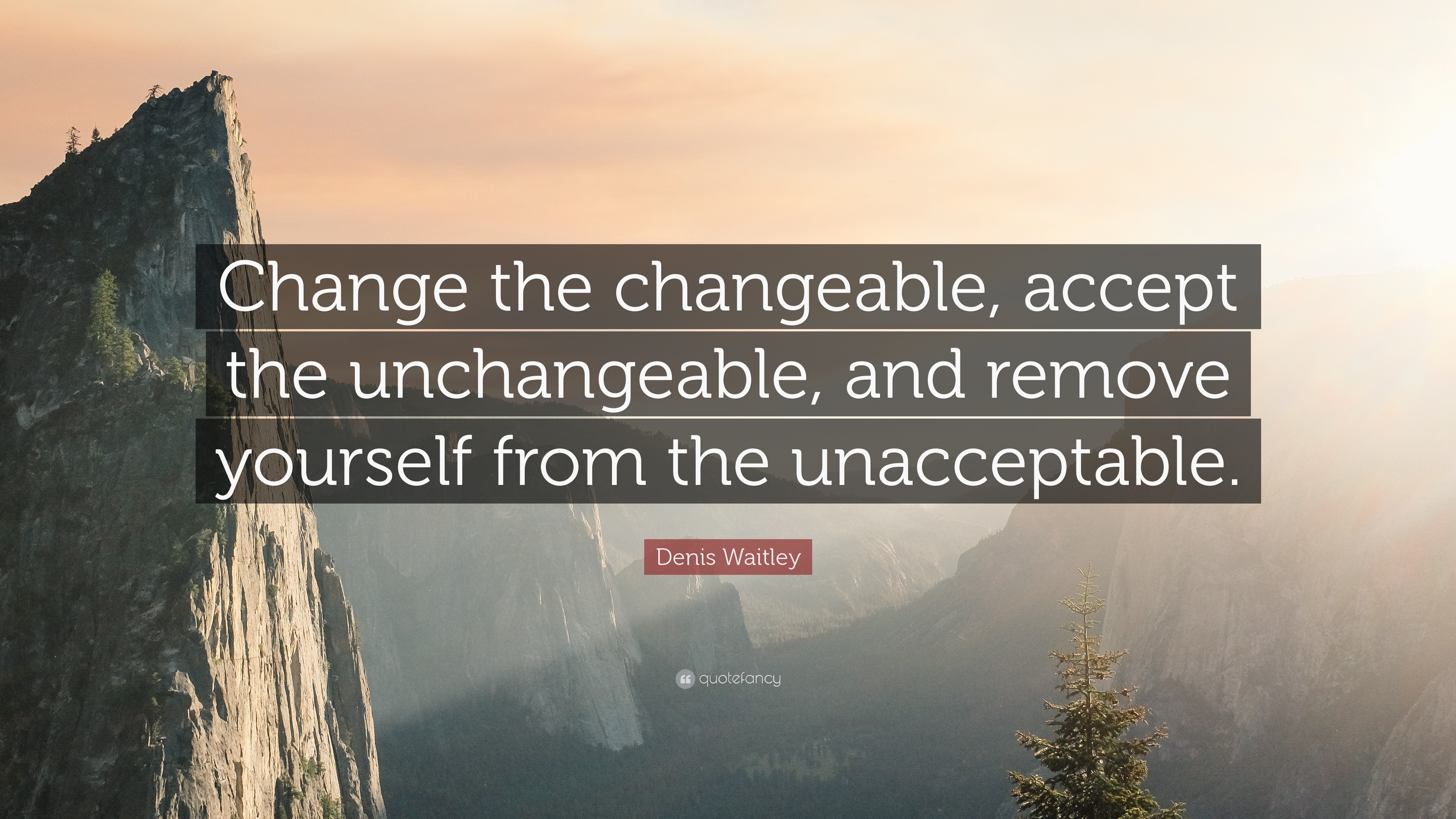 Denis Waitley Quote: “Change the changeable, accept the unchangeable ...