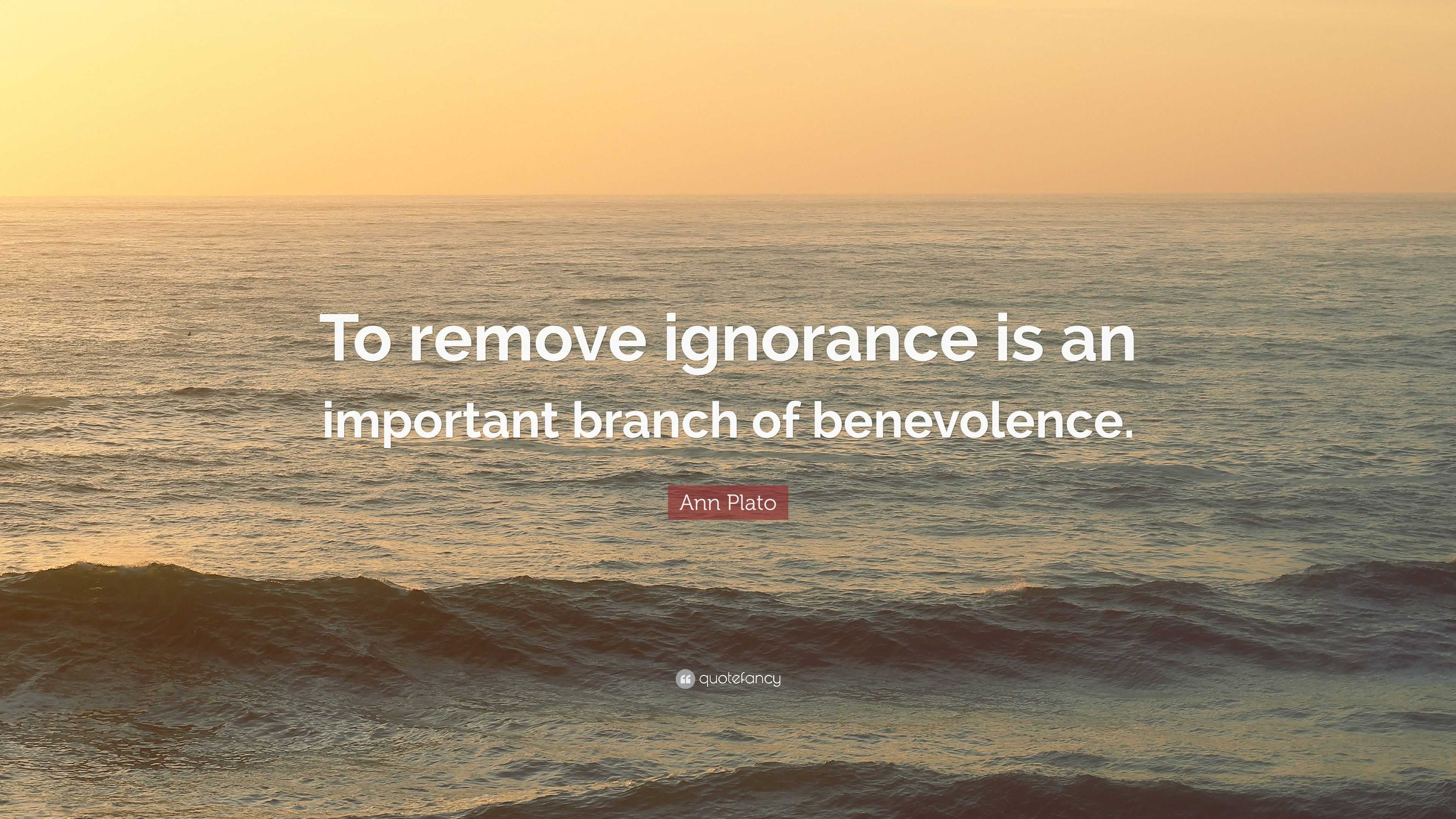 ann-plato-quote-to-remove-ignorance-is-an-important-branch-of