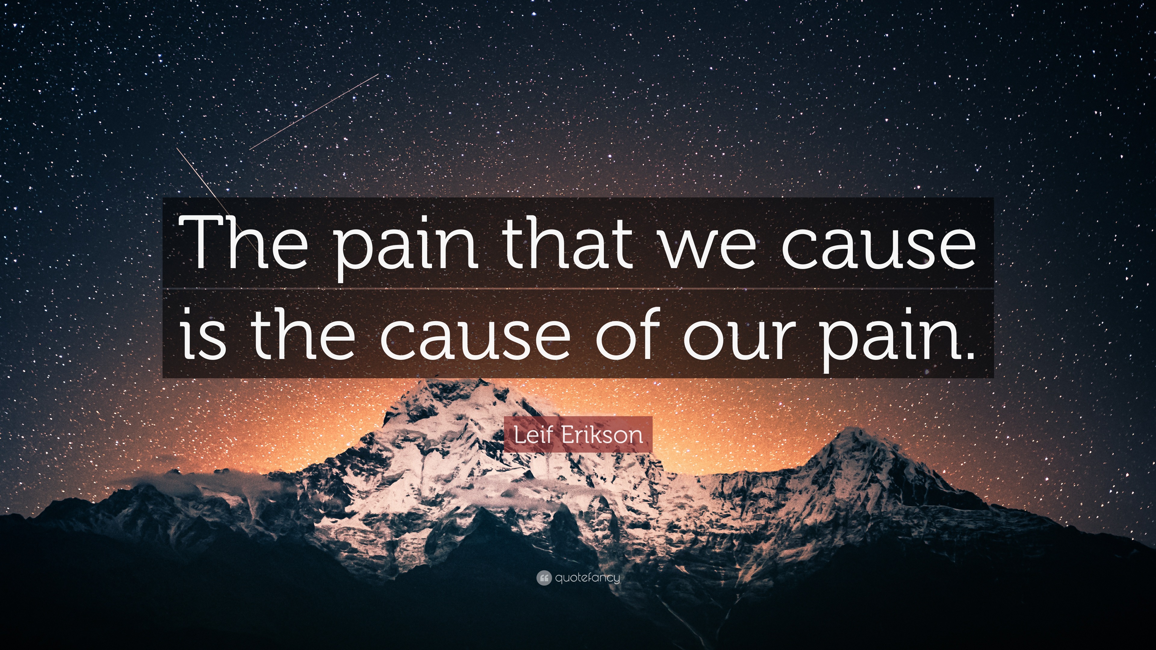 Leif Erikson Quote: “The pain that we cause is the cause of our pain.”