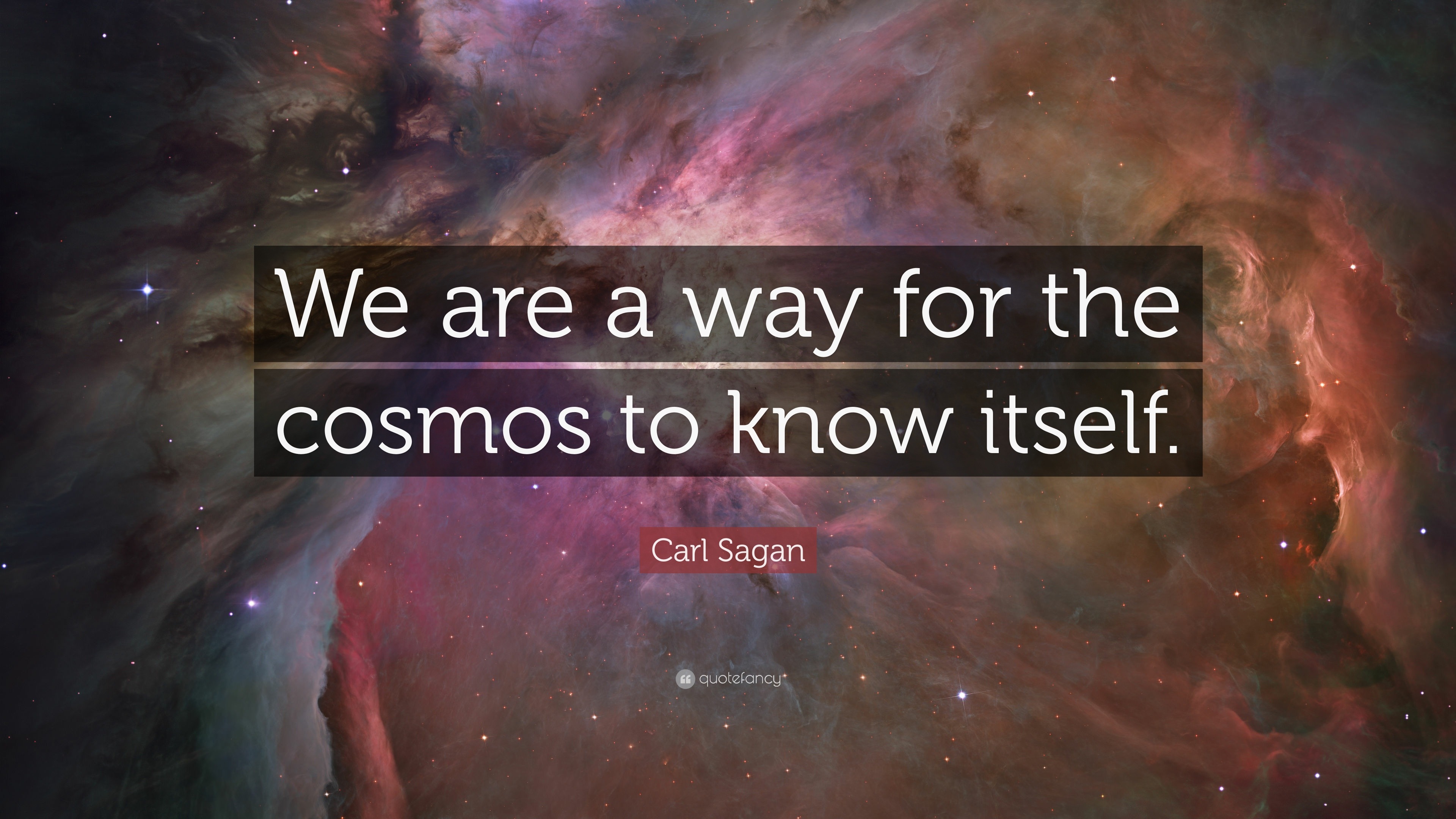Carl Sagan Quote We Are A Way For The Cosmos To Know Itself Carl Sagan Quote We Are A Way For The Cosmos To Know Itself