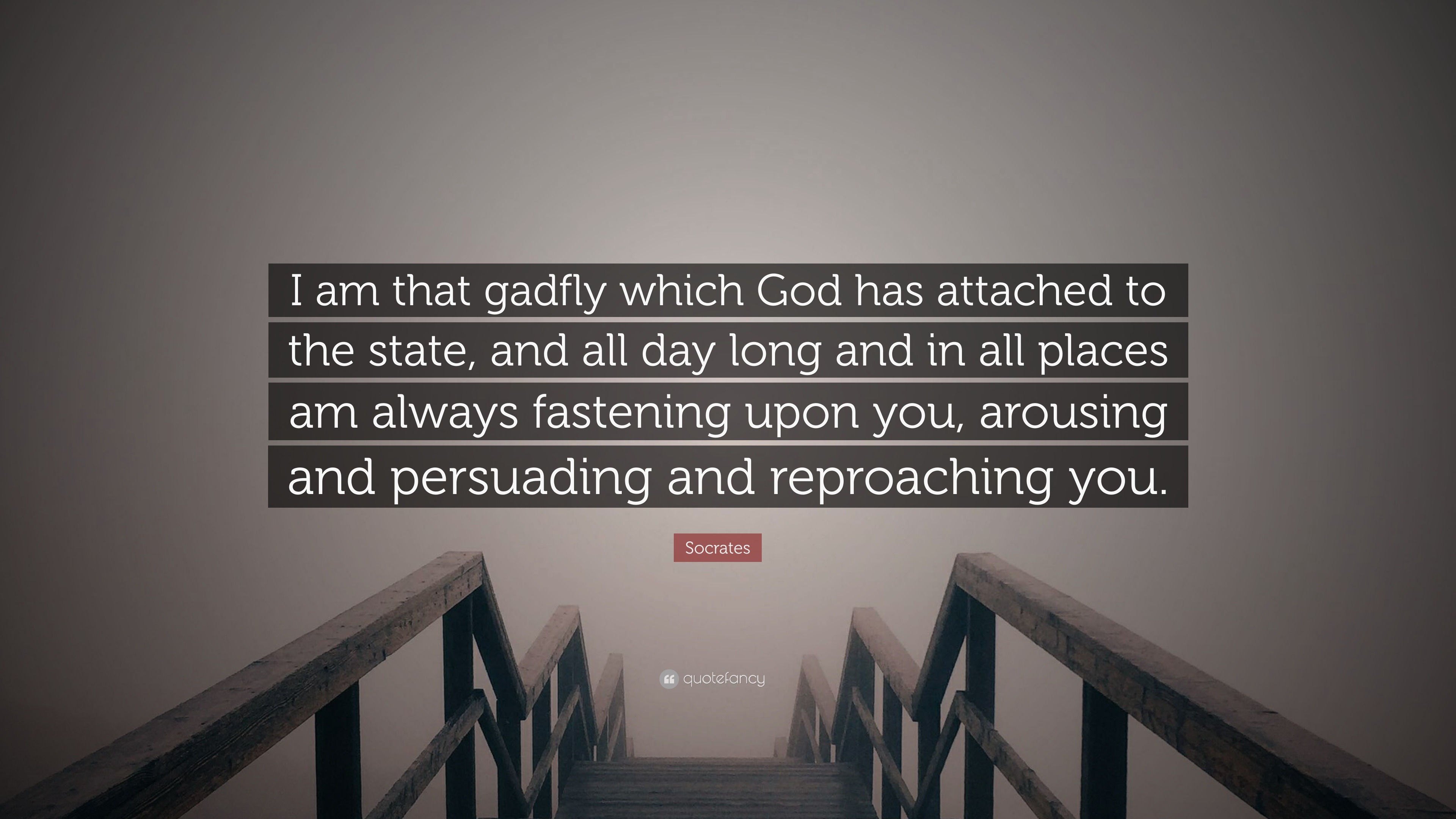 Socrates Quote: “I am that gadfly which God has attached to the state ...