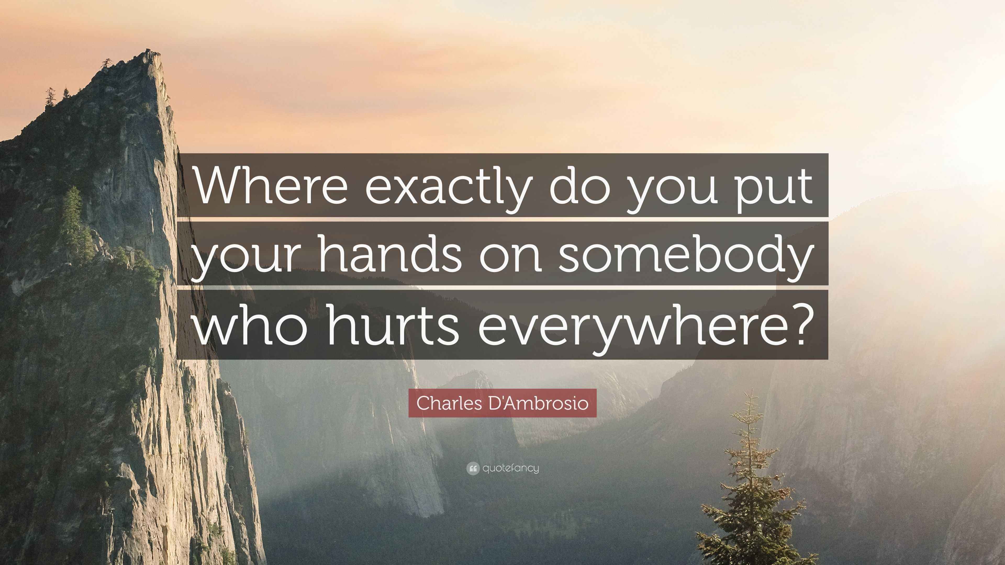 Charles D'Ambrosio Quote “Where exactly do you put your hands on