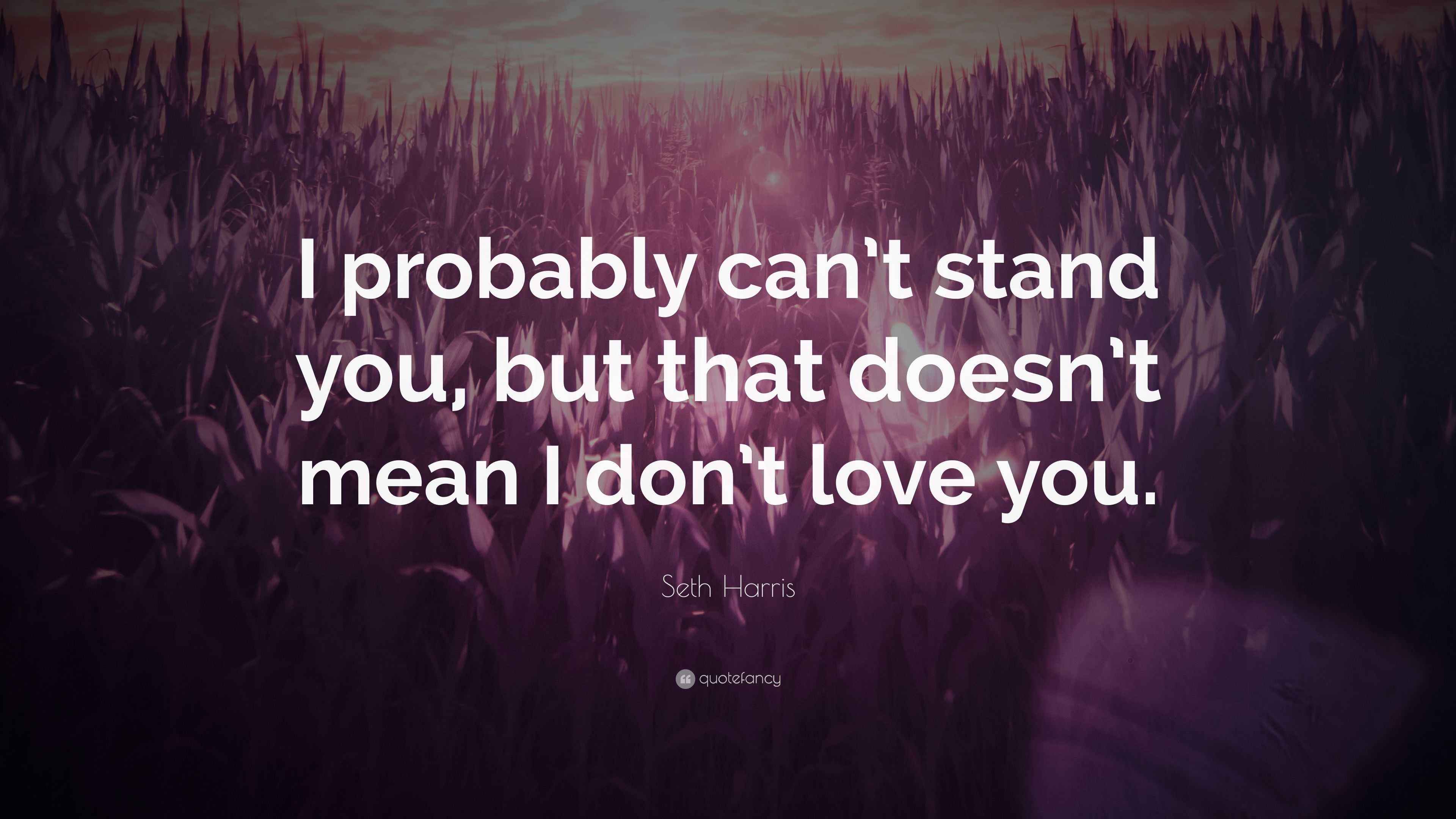 Seth Harris Quote “I probably can’t stand you, but that doesn’t mean I