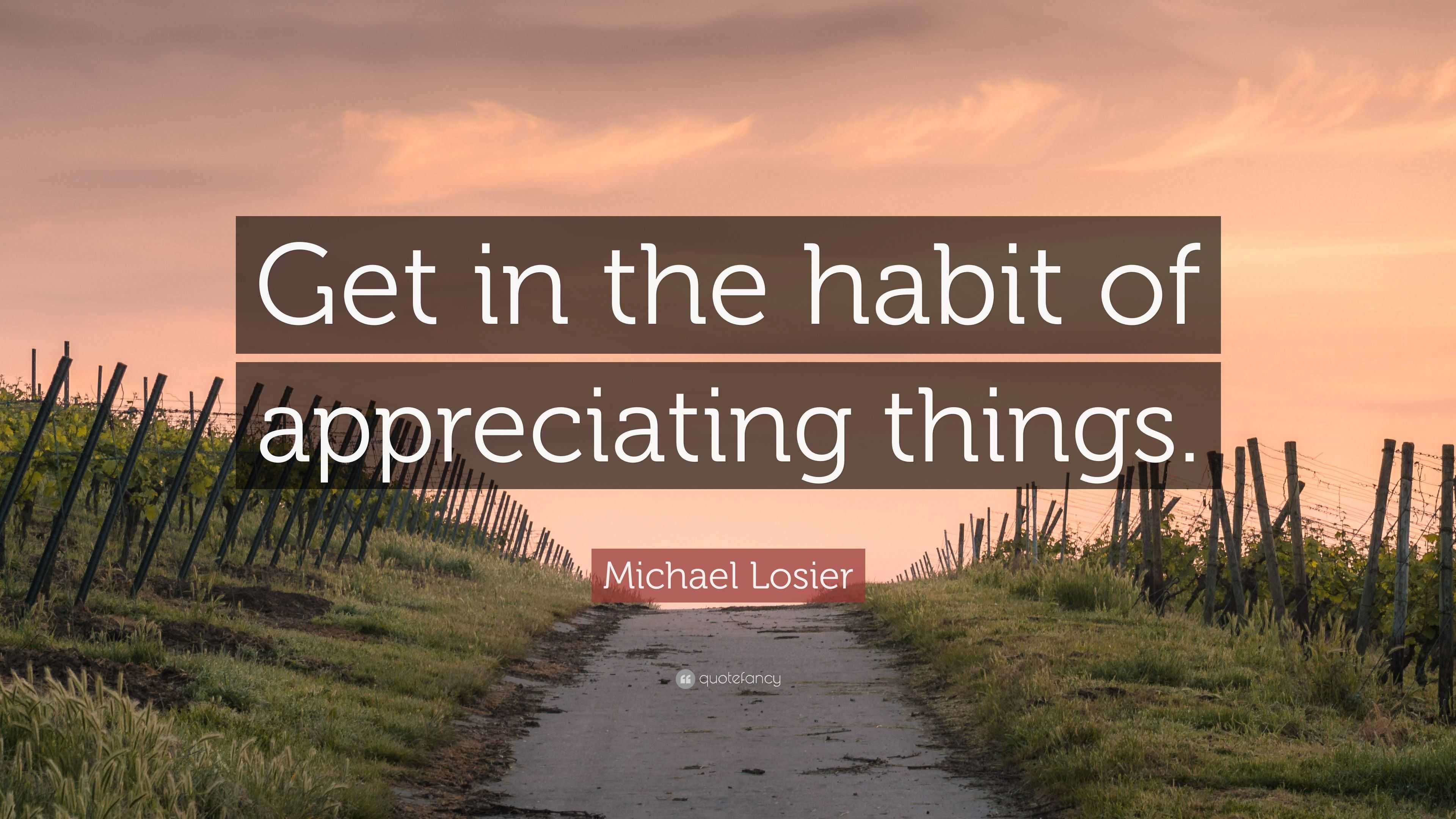 Michael Losier Quote: “Get in the habit of appreciating things.”