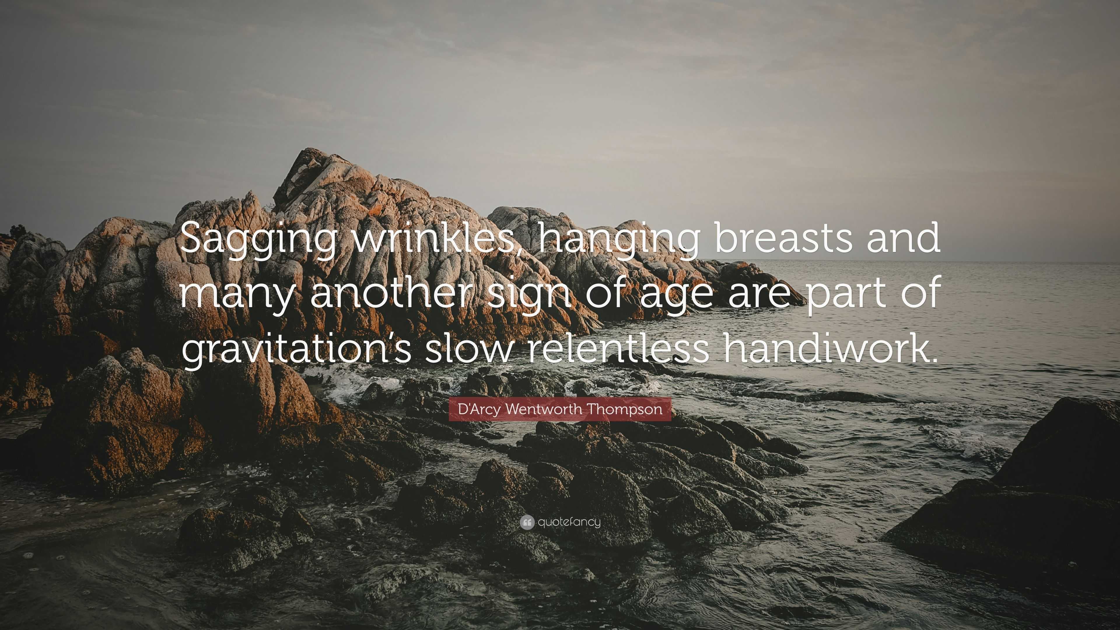 D'Arcy Wentworth Thompson Quote: “Sagging wrinkles, hanging