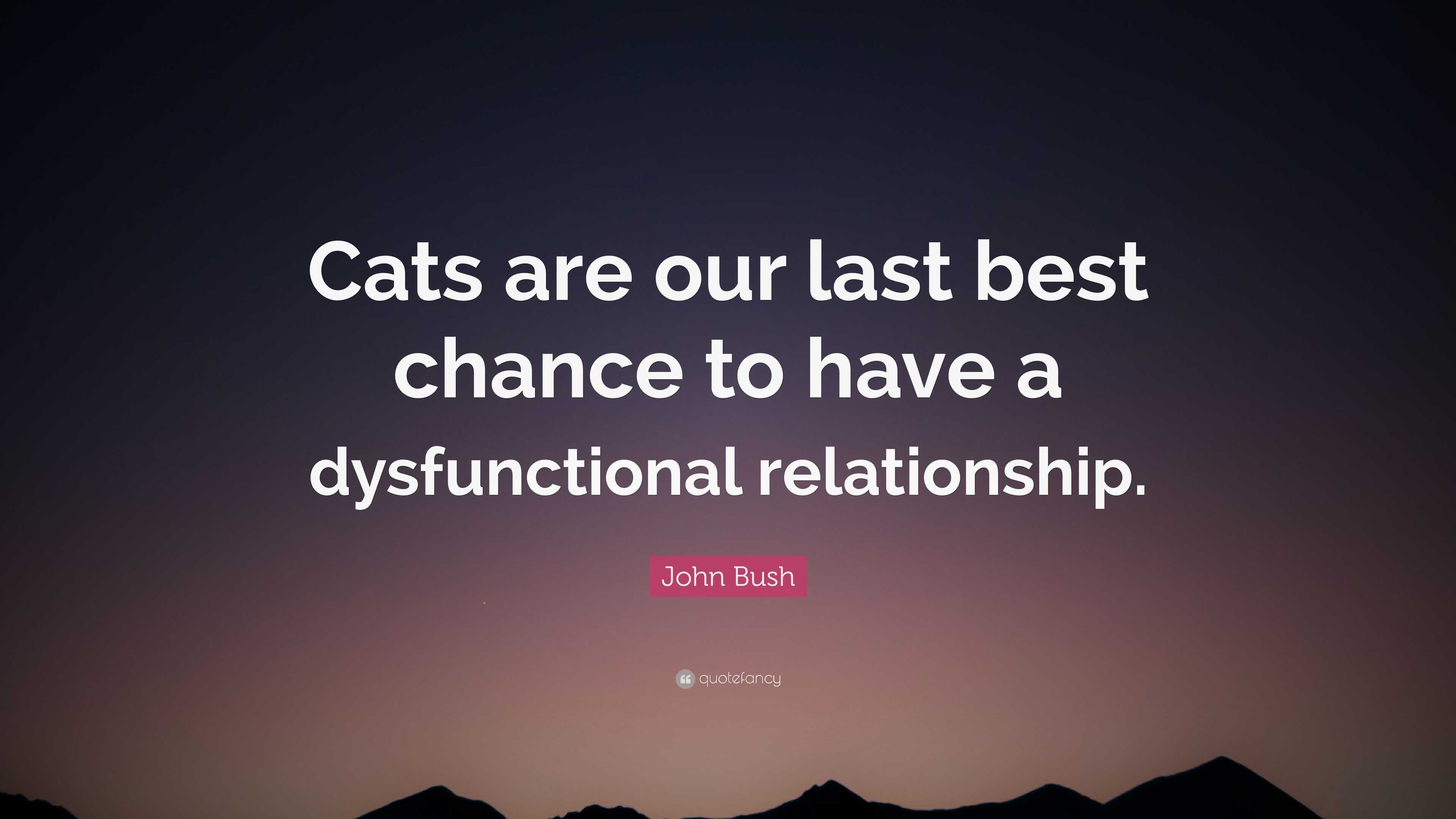 John Bush Quote: “Cats are our last best chance to have a dysfunctional ...