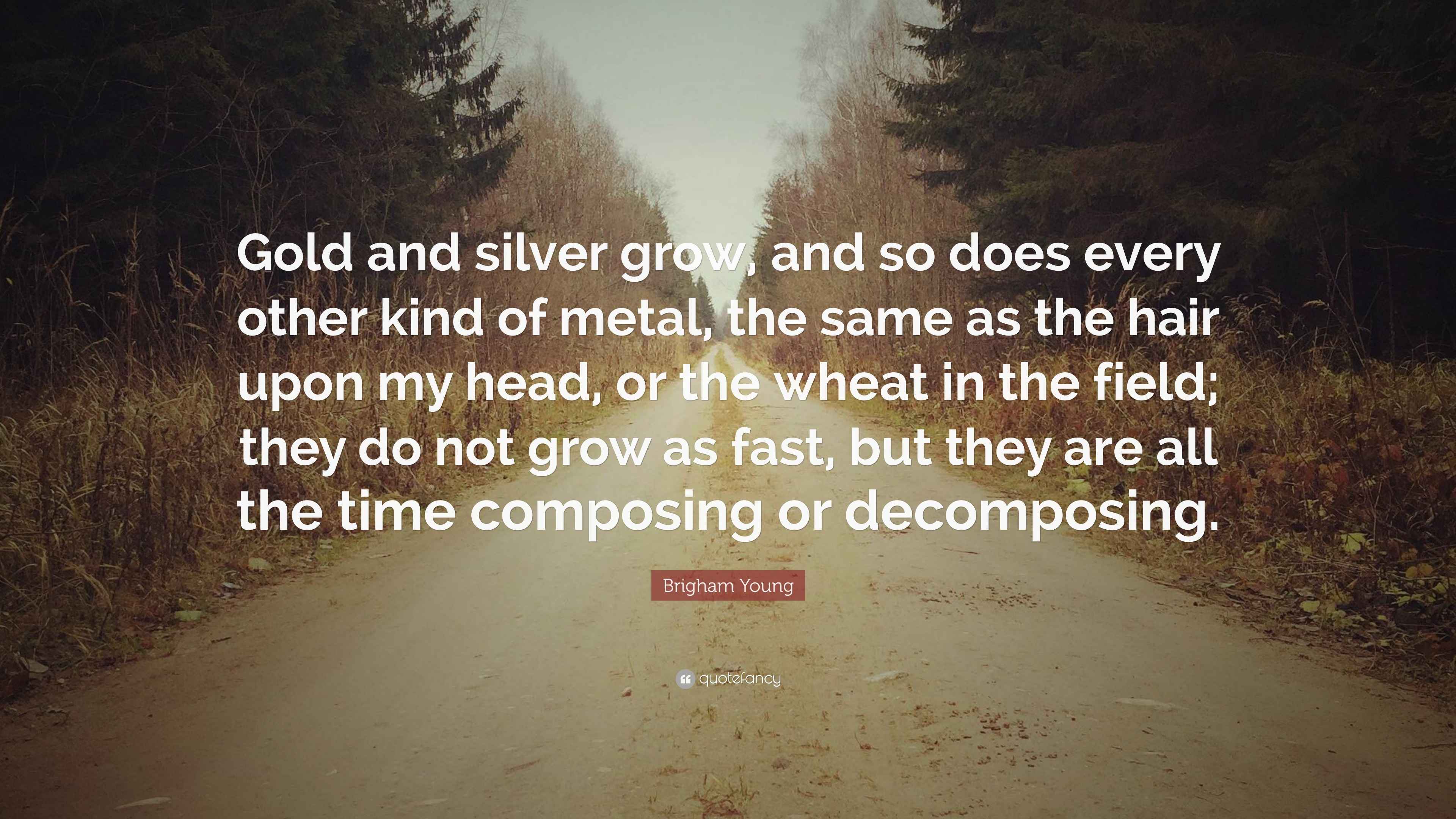 Brigham Young Quote “Gold and silver grow, and so does every other