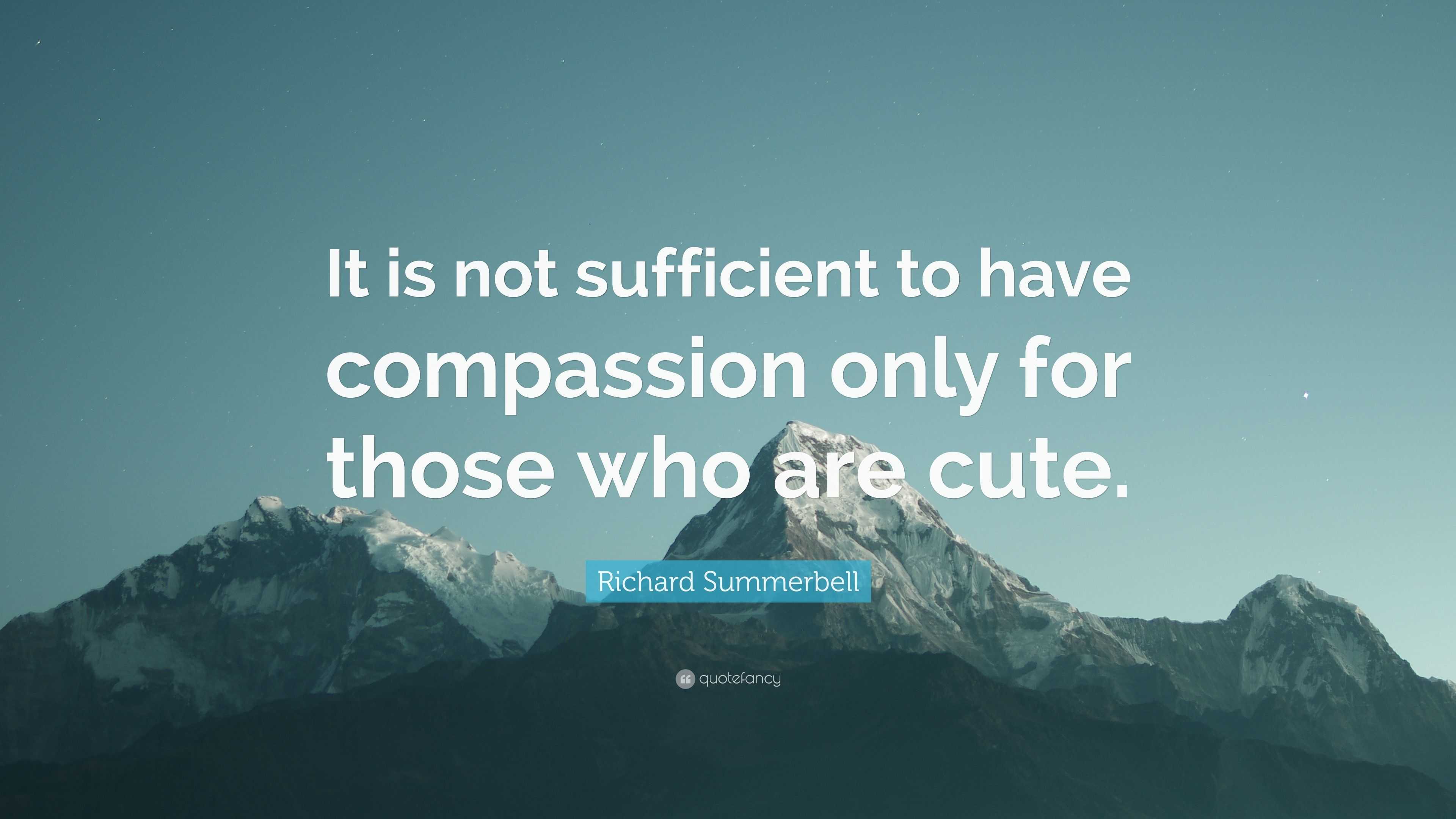 Richard Summerbell Quote: “It is not sufficient to have compassion only ...