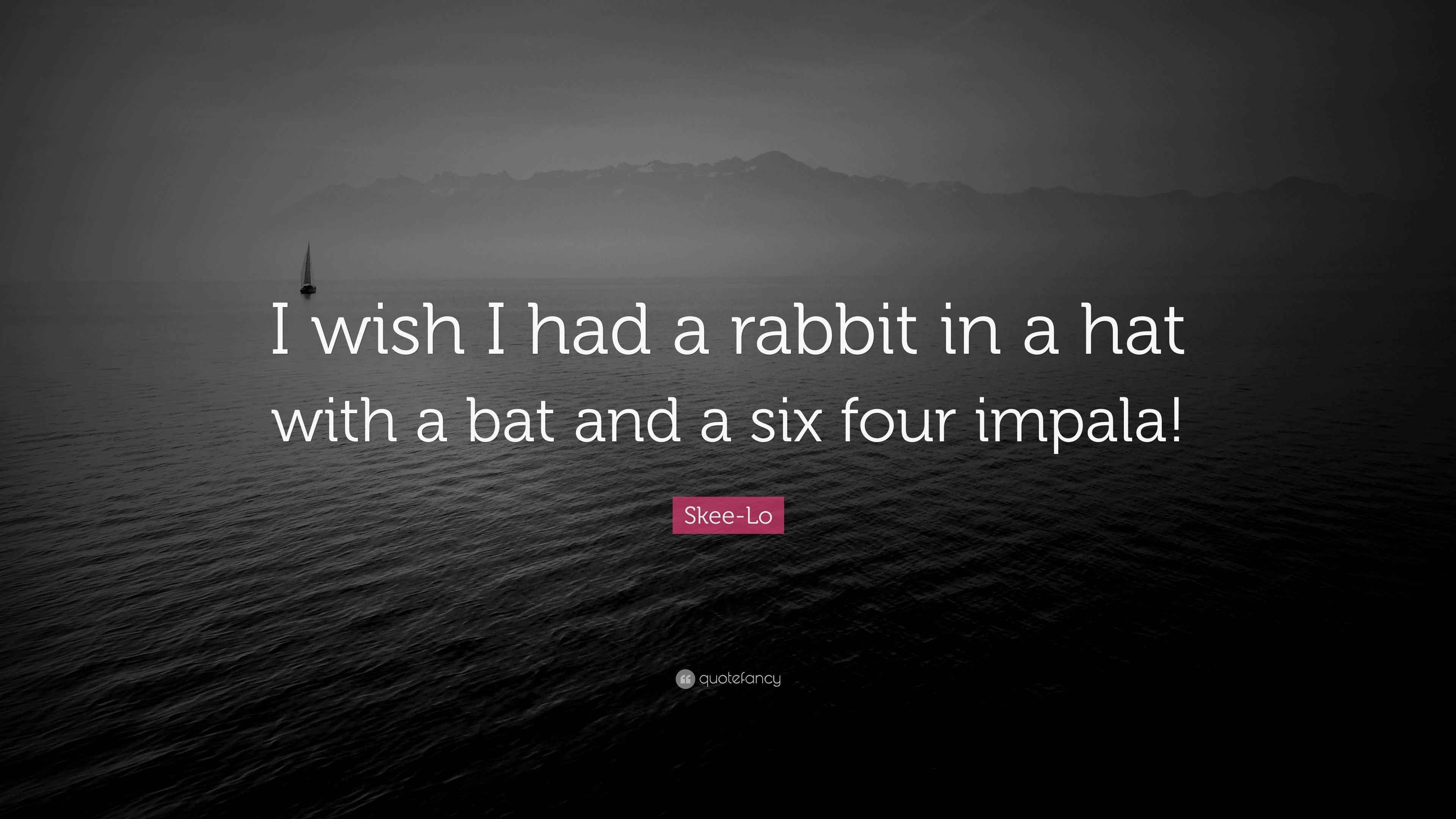 SkeeLo Quote “I wish I had a rabbit in a hat with a bat and a six