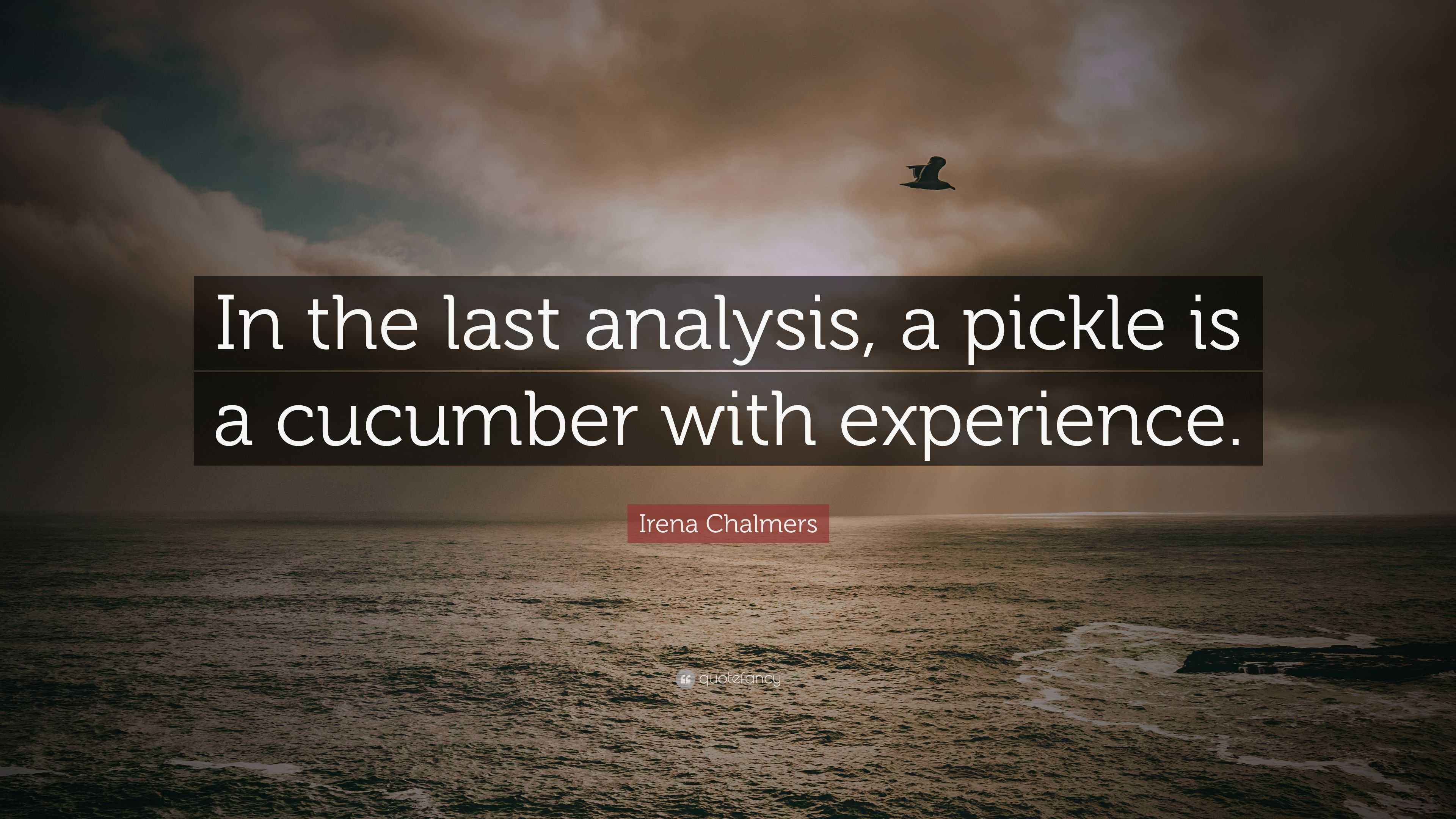 Irena Chalmers Quote “In the last analysis, a pickle is a cucumber