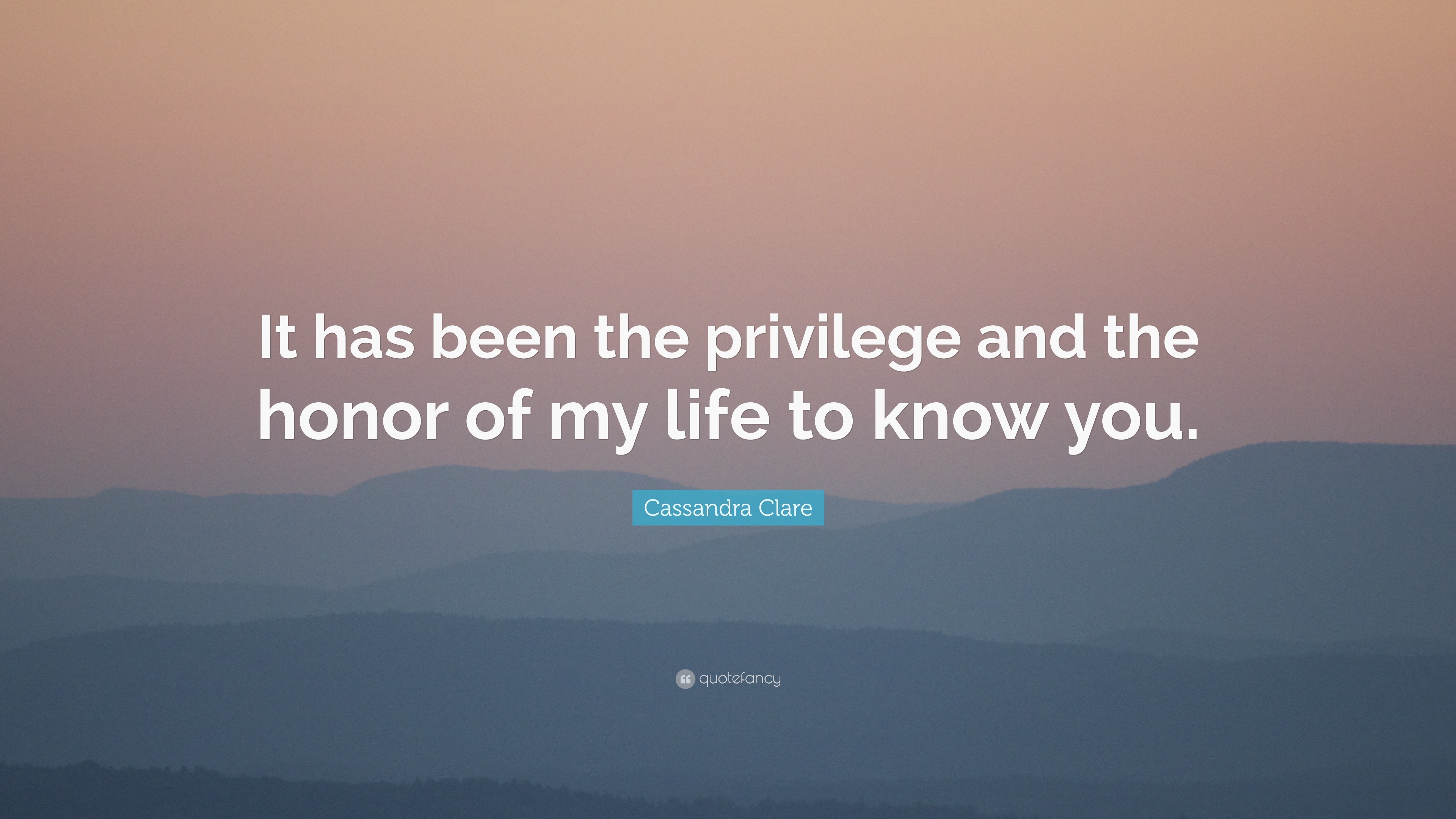 Cassandra Clare Quote: “It has been the privilege and the honor of my ...