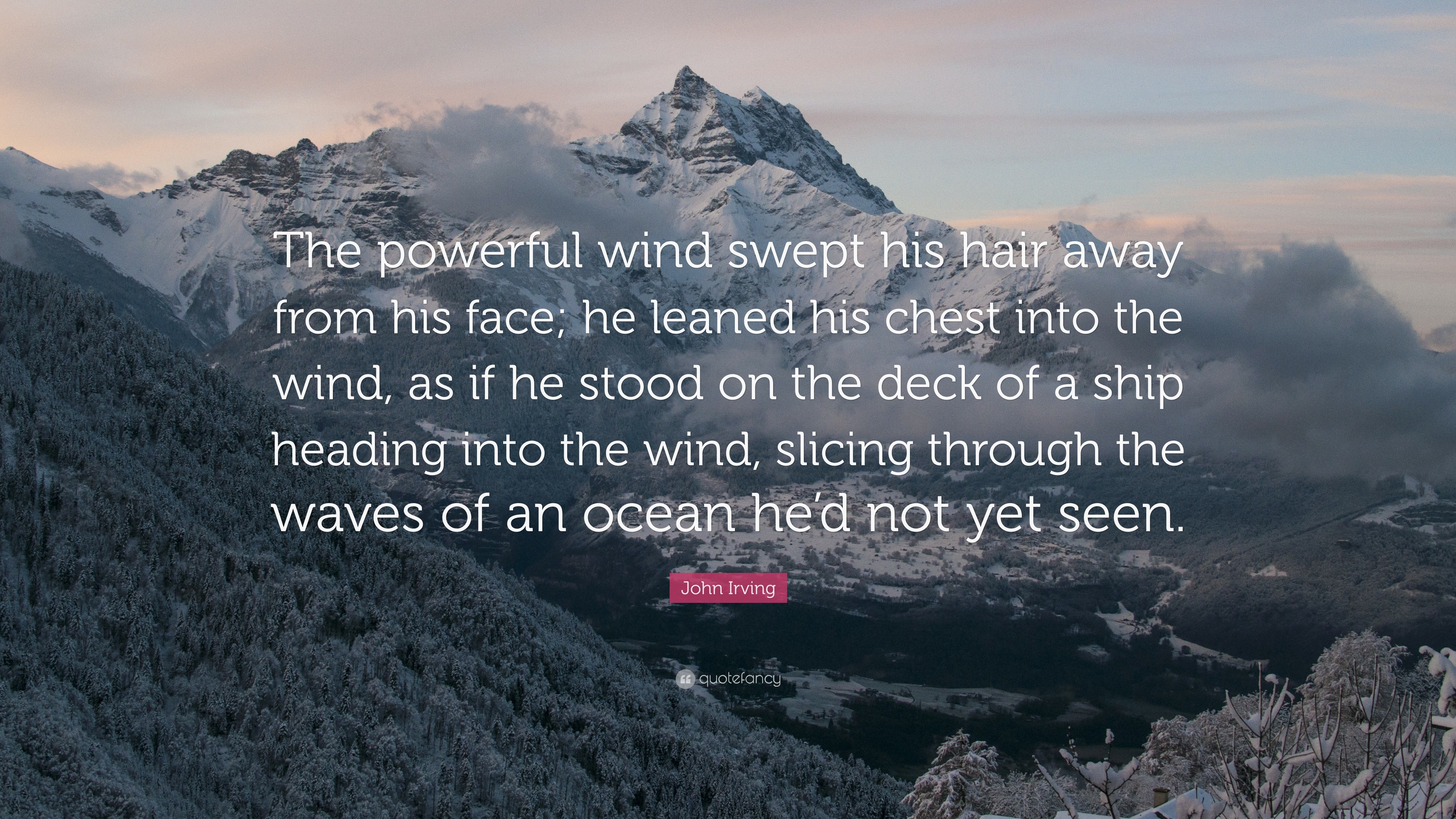 John Irving Quote The Powerful Wind Swept His Hair Away From His Face