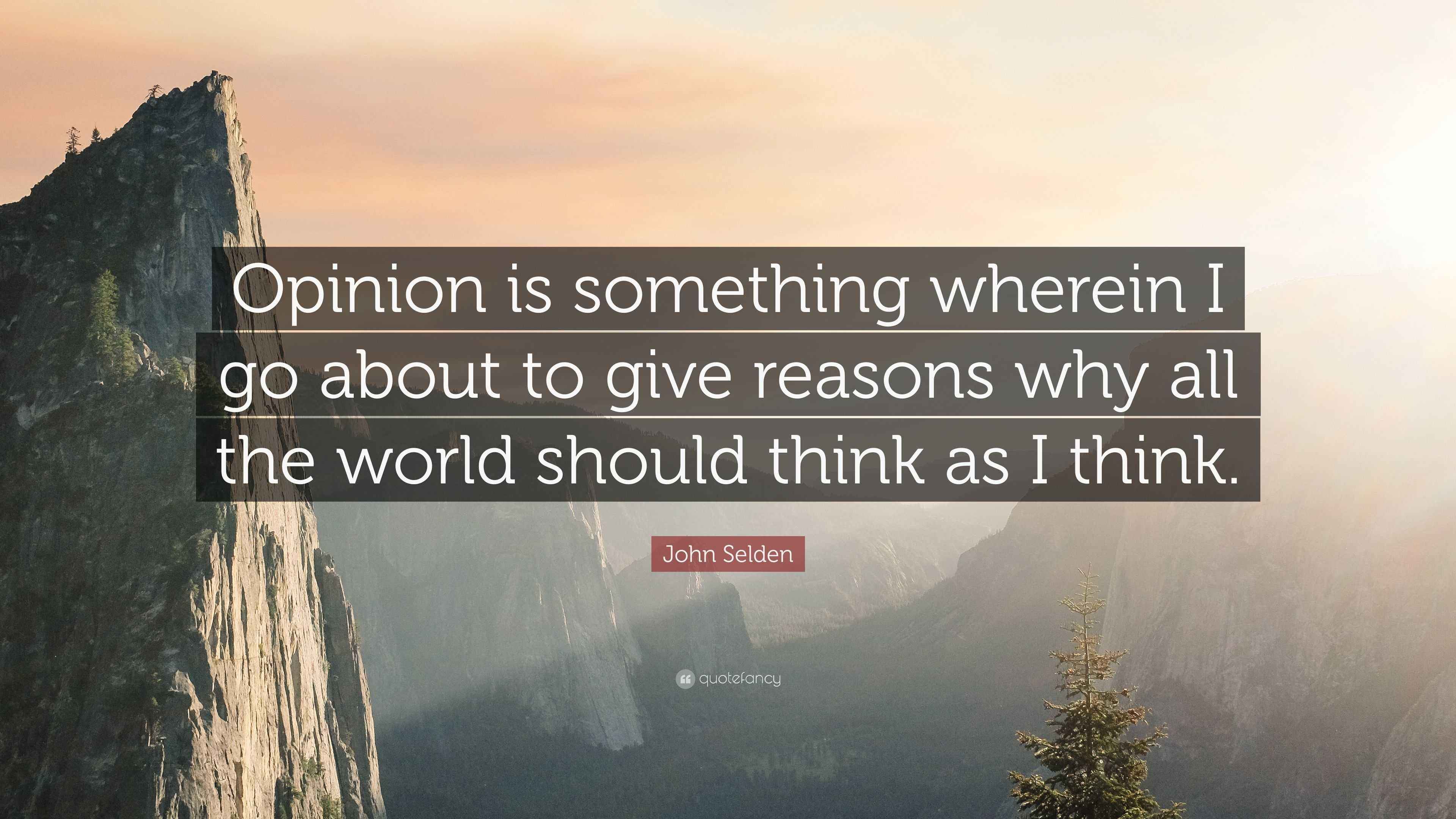 John Selden Quote “Opinion is something wherein I go about to give reasons why all the world