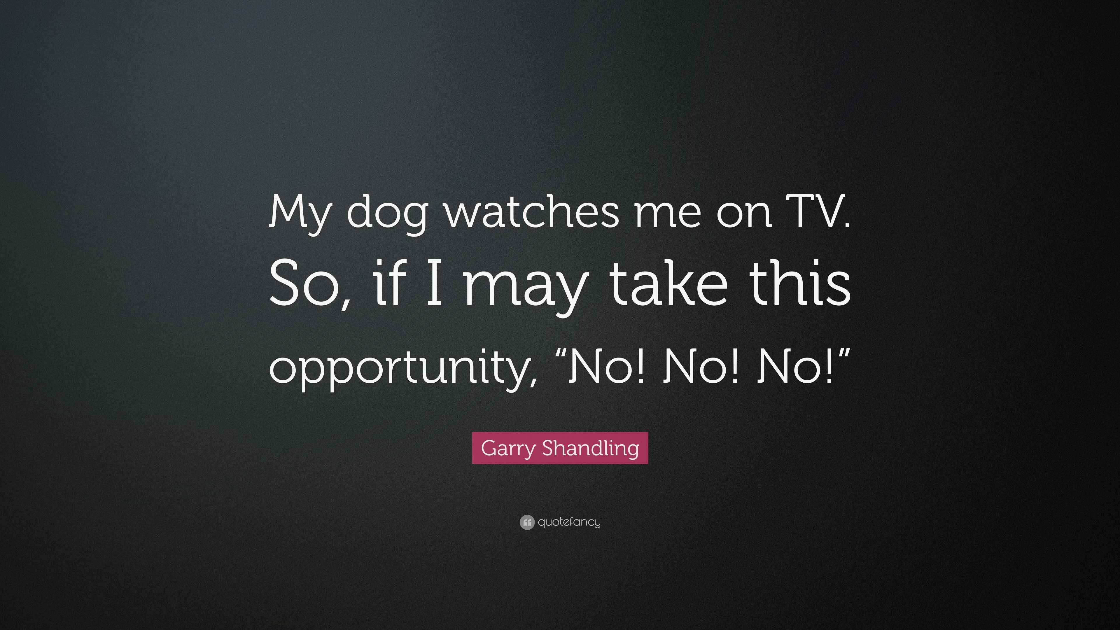 Garry Shandling Quote “My dog watches me on TV. So, if I may take this