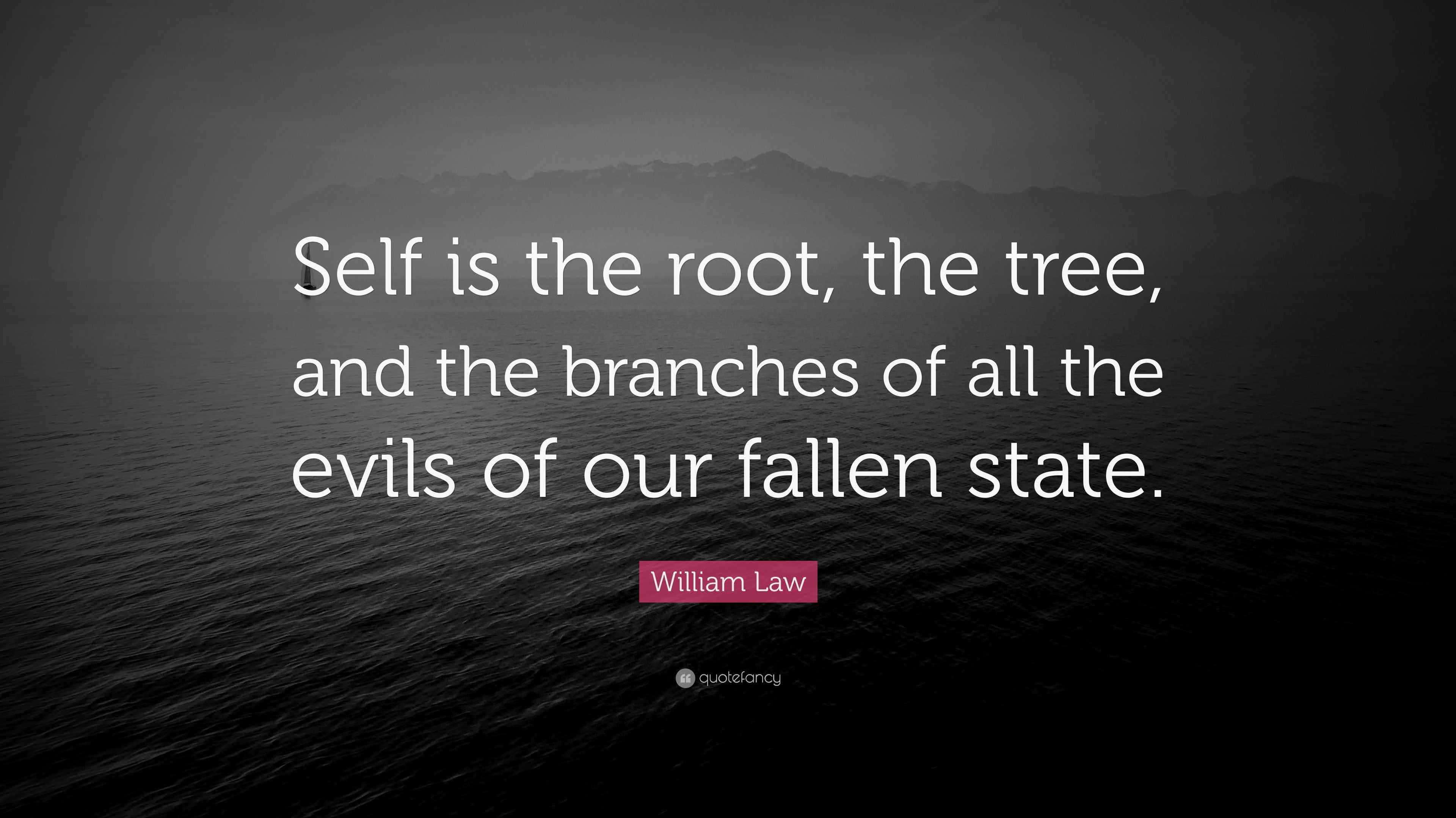 William Law Quote Self Is The Root The Tree And The Branches Of All