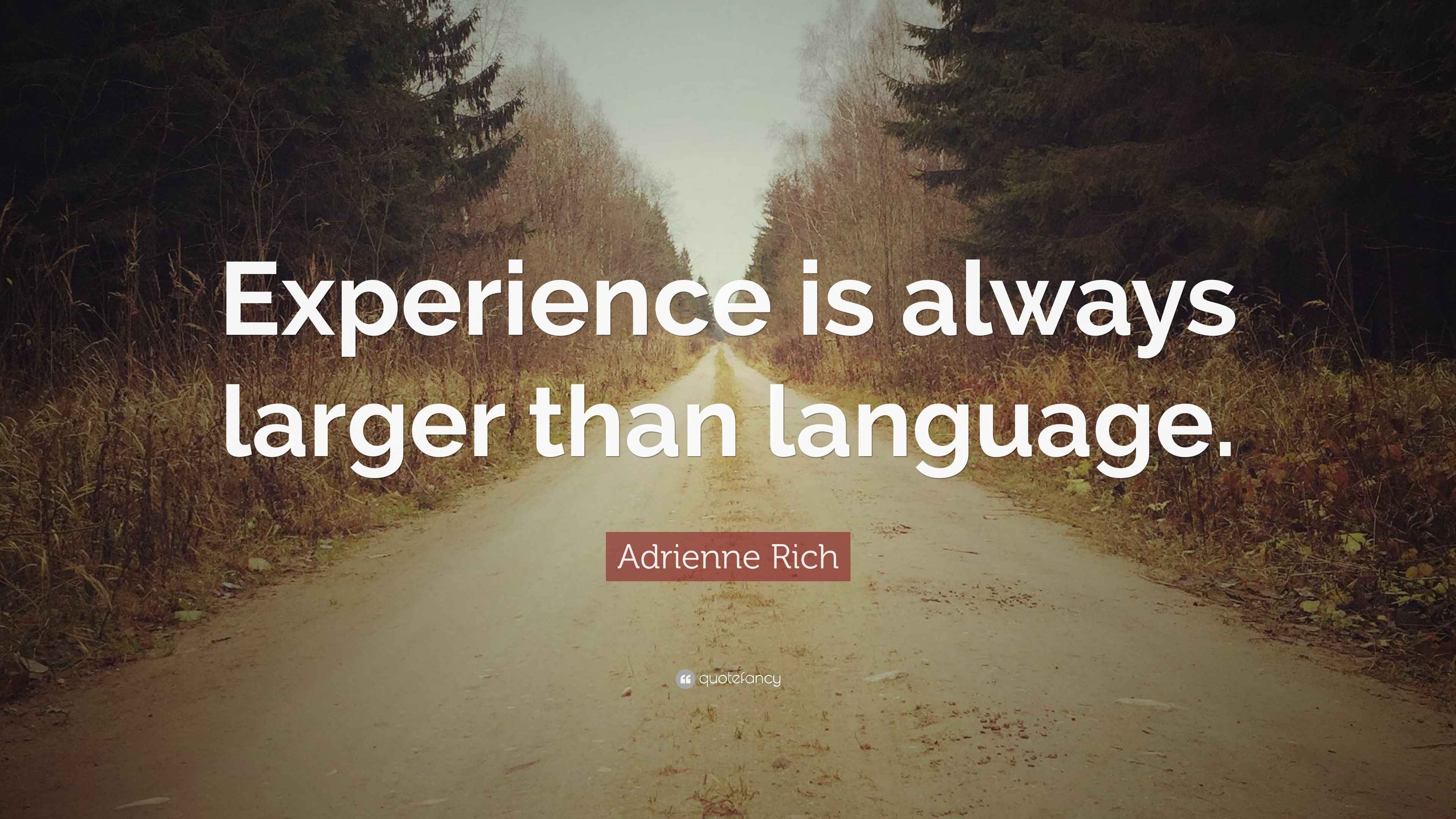 Adrienne Rich Quote “Experience is always larger than language.”