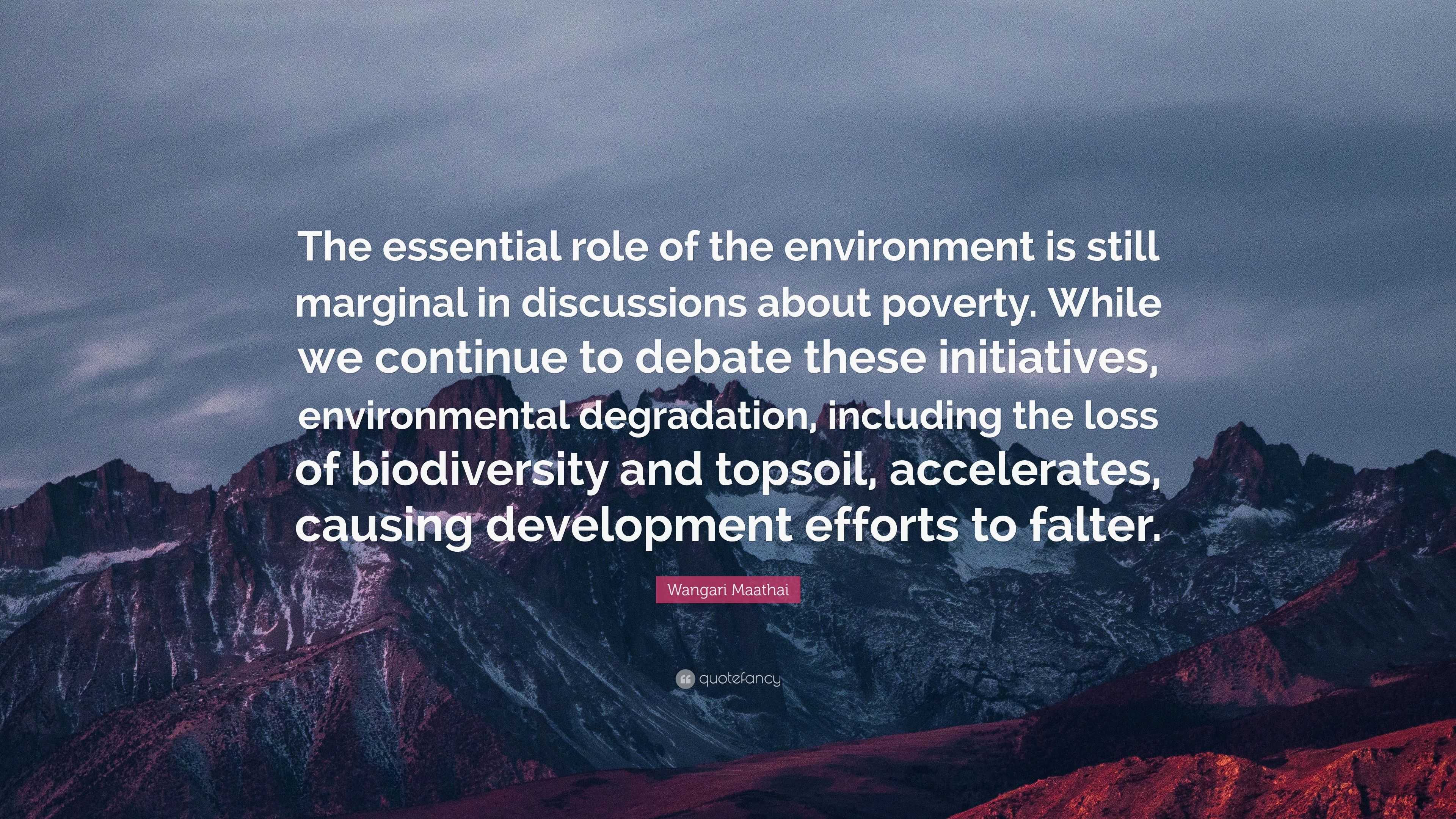 Wangari Maathai Quote: “the Essential Role Of The Environment Is Still 