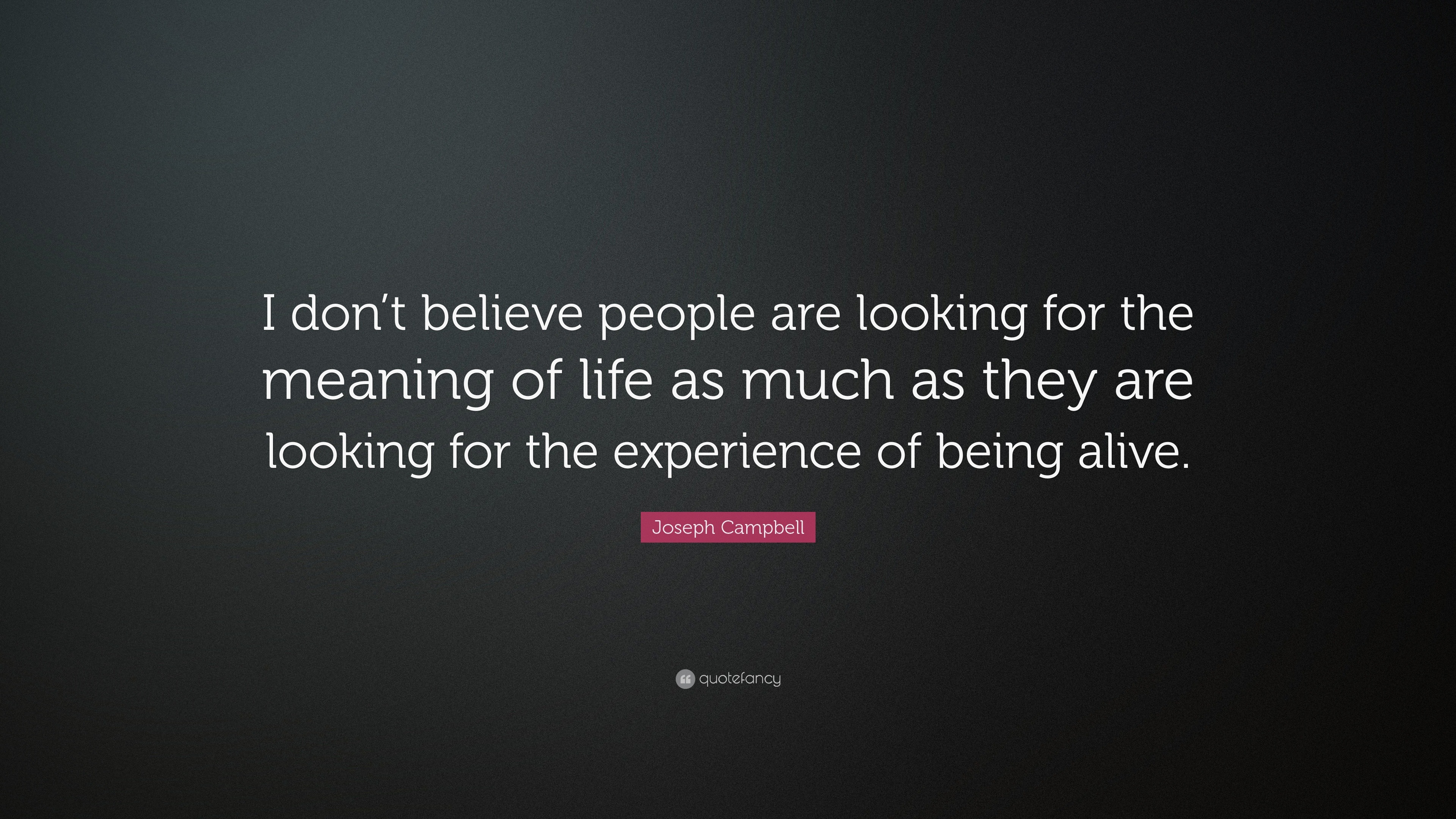 Joseph Campbell Quote: “I don’t believe people are looking for the ...