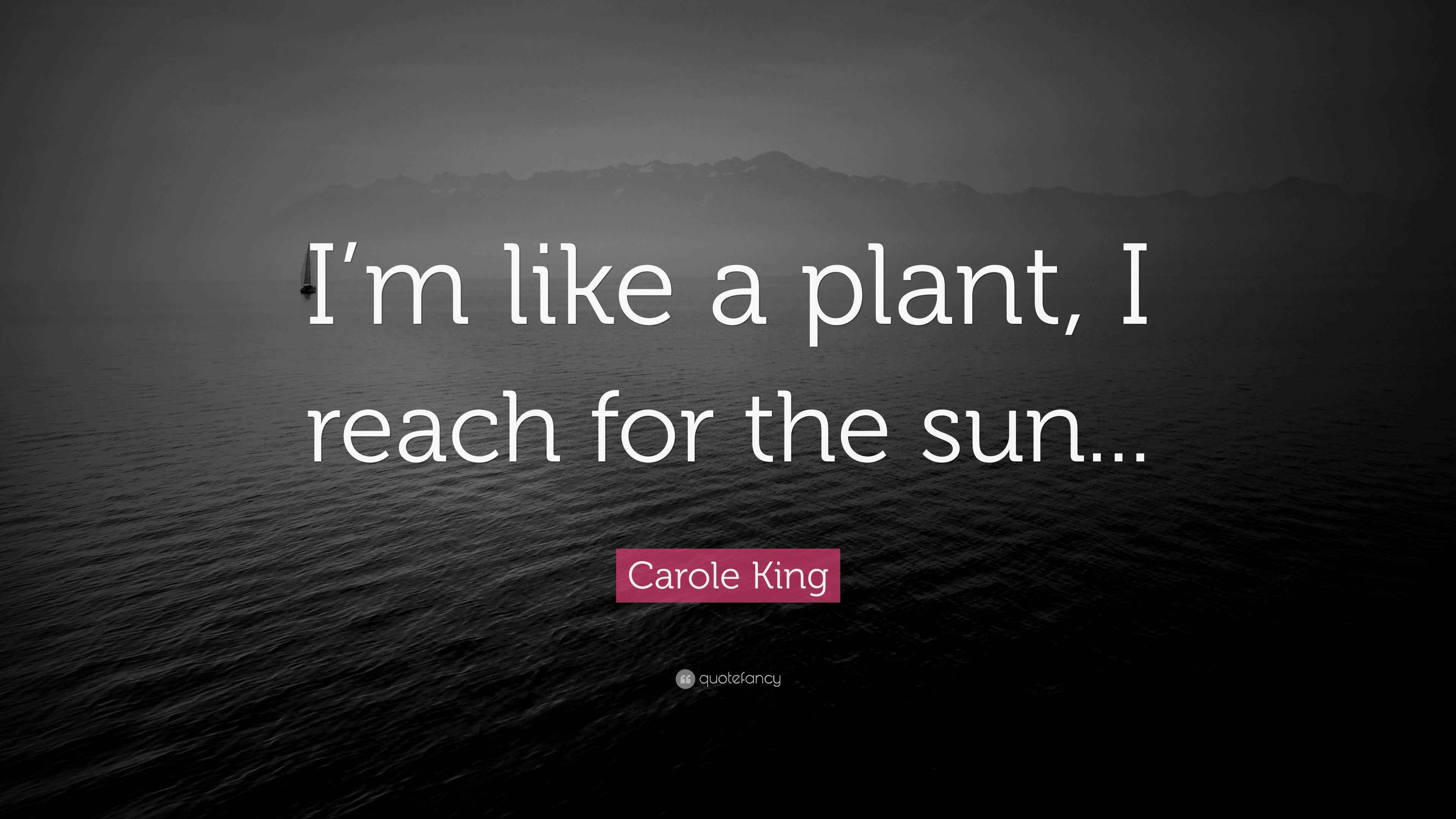Carole King Quote “I’m like a plant, I reach for the sun...”