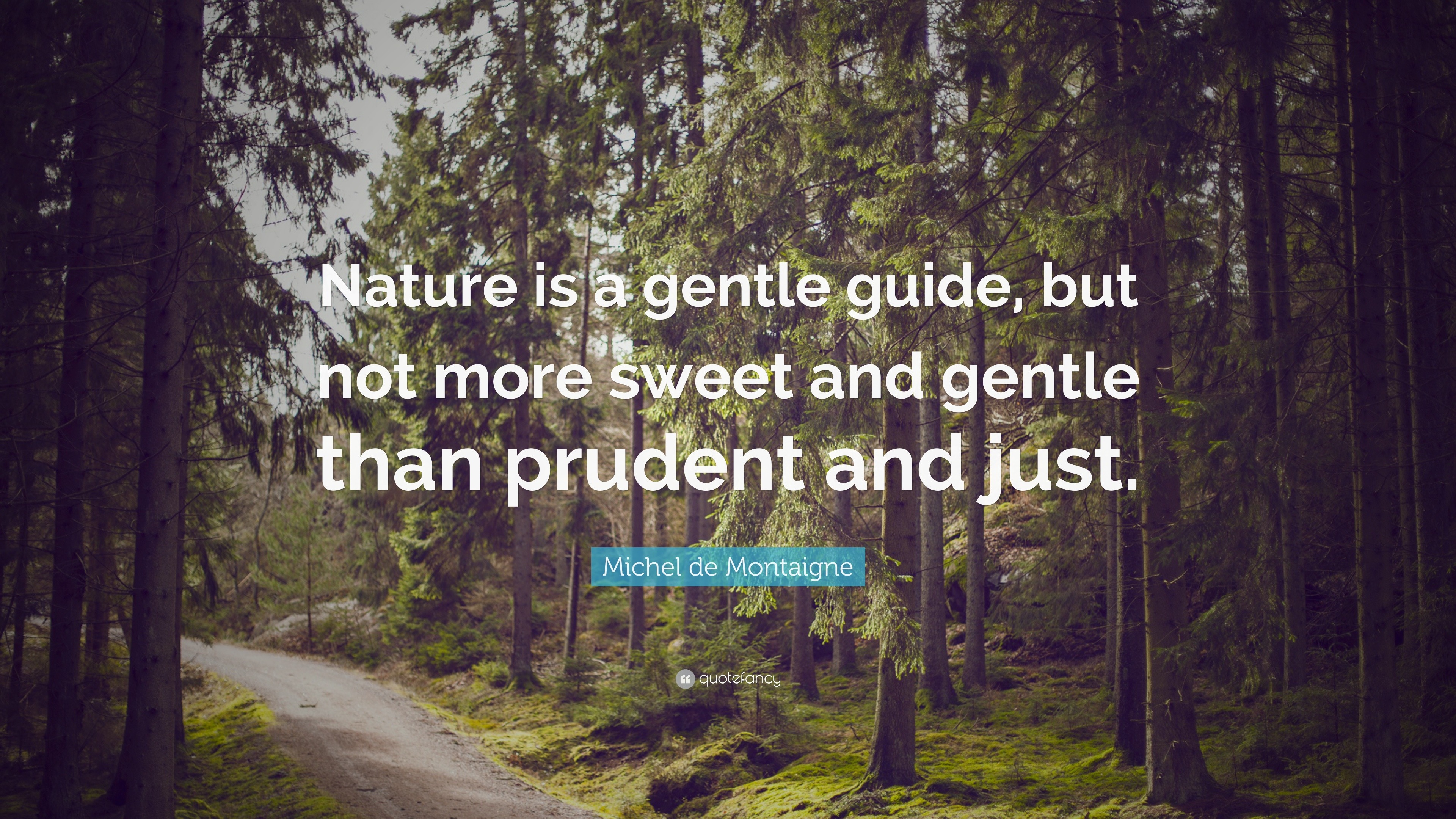 Michel de Montaigne Quote: “Nature is a gentle guide, but not more ...