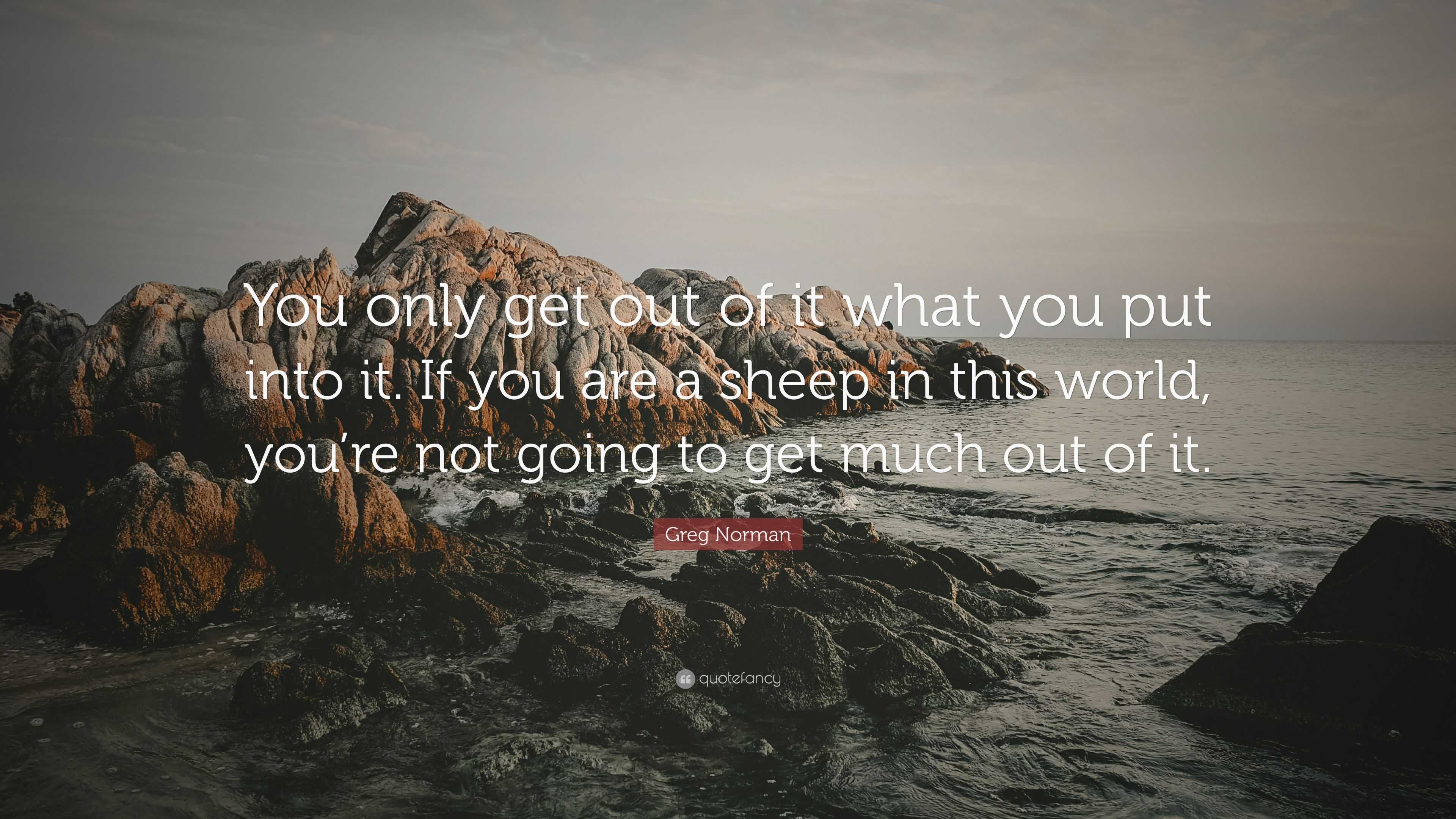 Greg Norman Quote You Only Get Out Of It What You Put Into It If You Are A Sheep In This World You Re Not Going To Get Much Out Of It 7