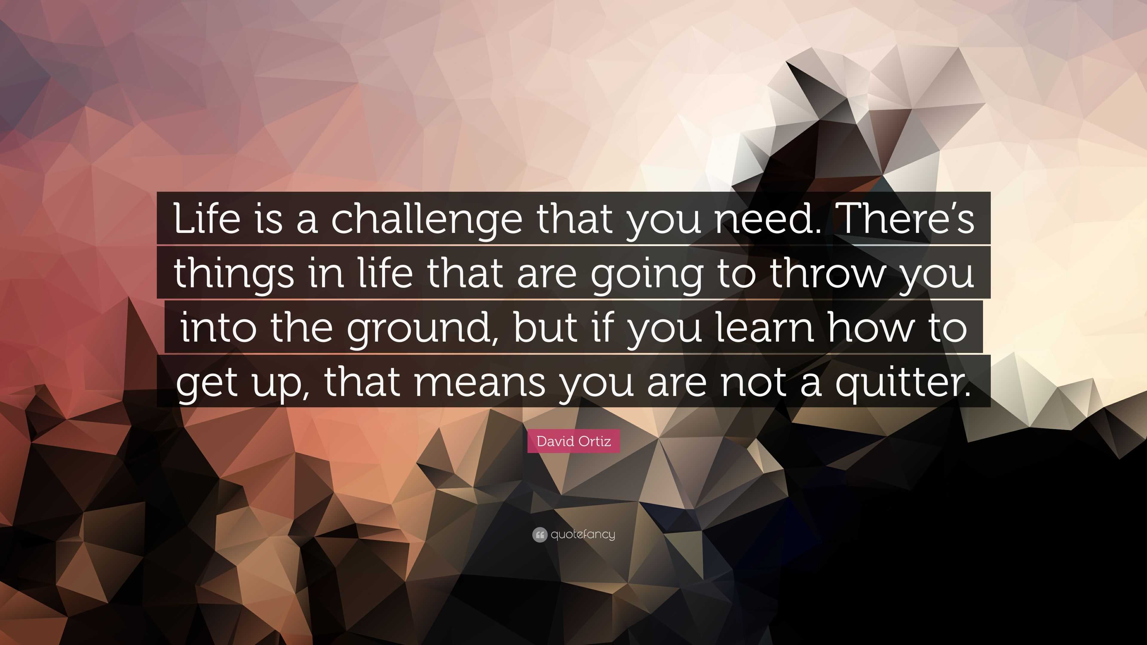 David Ortiz Quote: “Life is a challenge that you need. There’s things ...