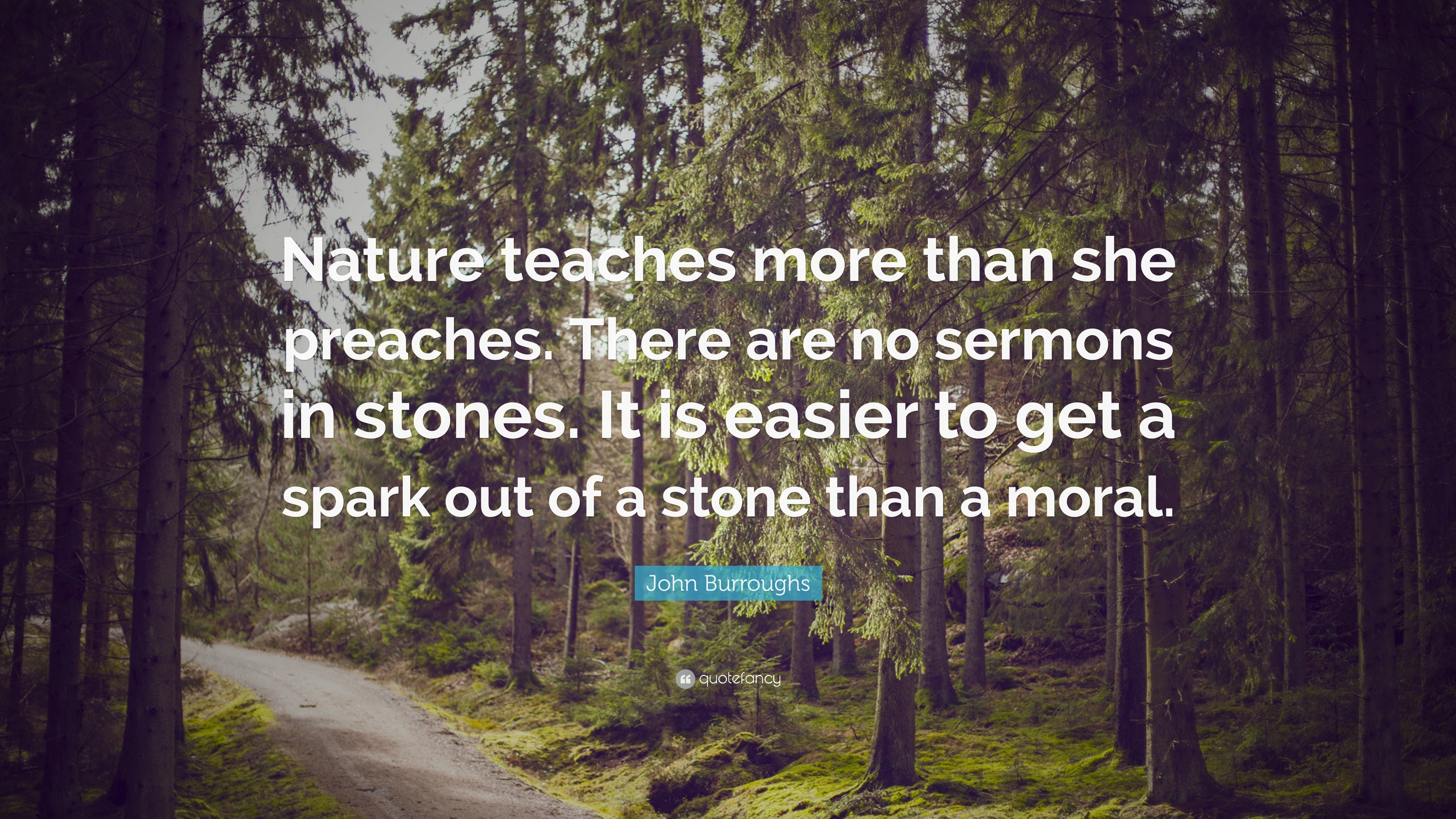 John Burroughs Quote: “Nature teaches more than she preaches. There are ...