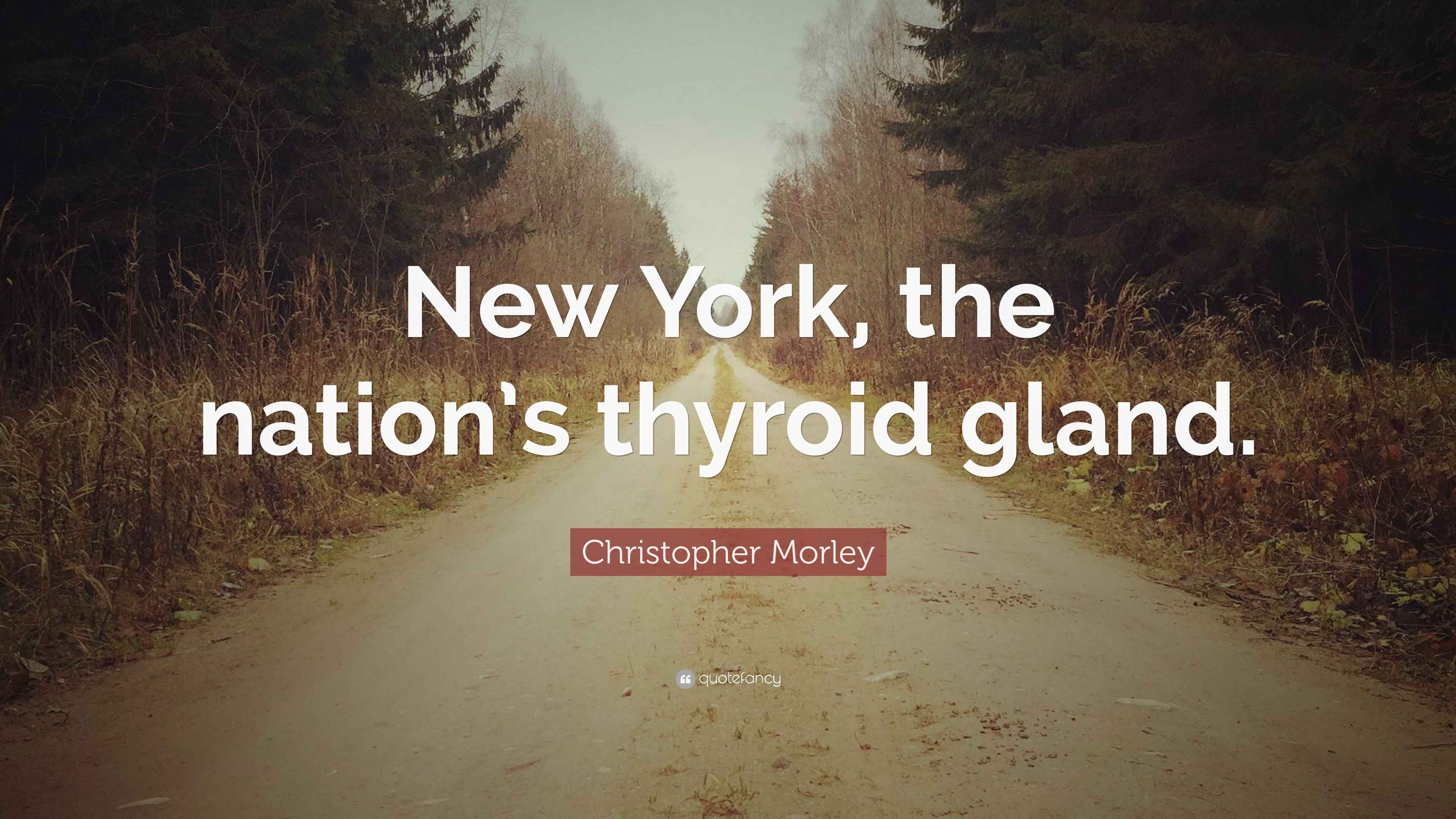 Christopher Morley Quote “New York, the nation’s thyroid gland.”