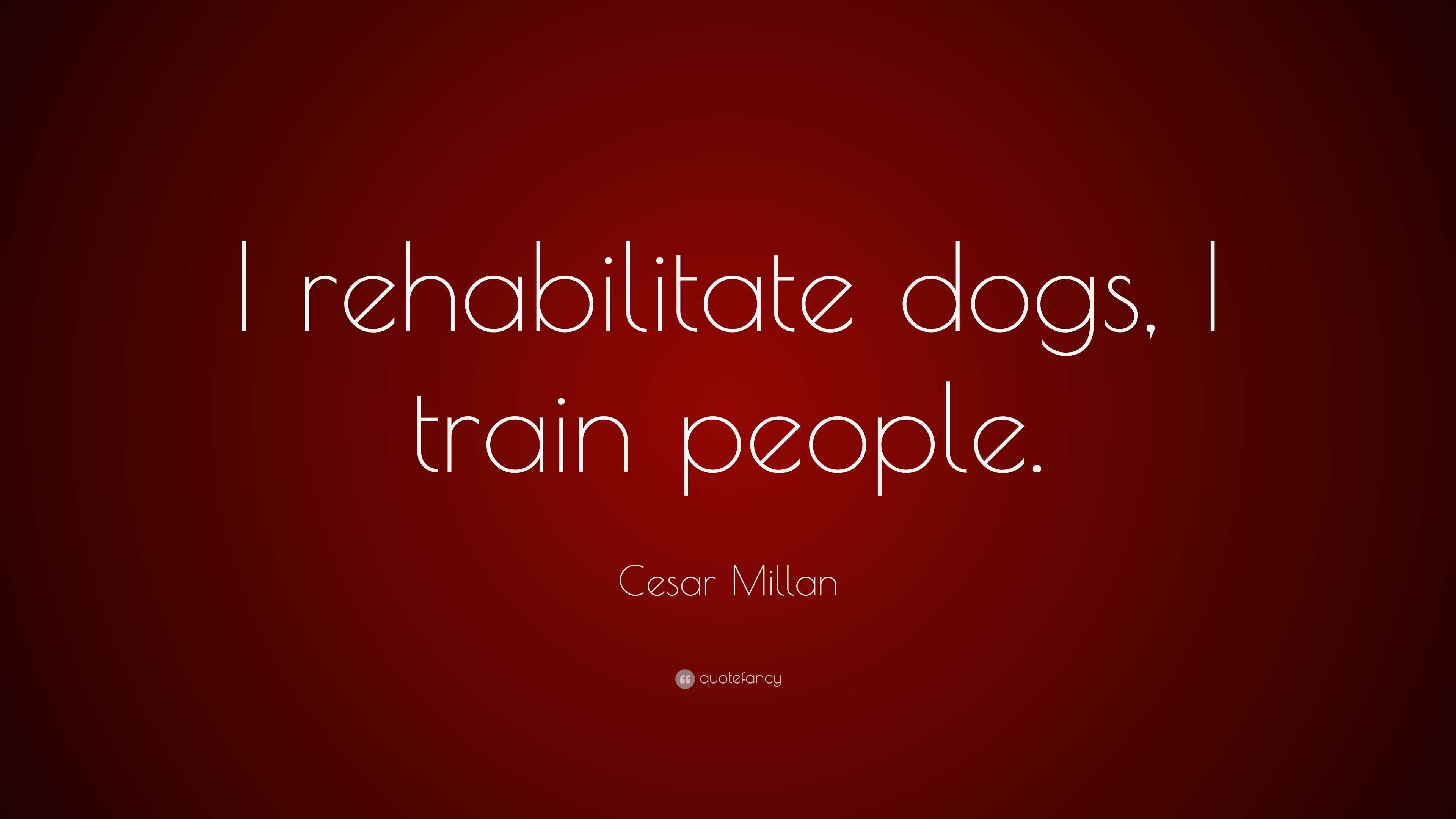 Cesar Millan Quote: “I Rehabilitate Dogs, I Train People.”