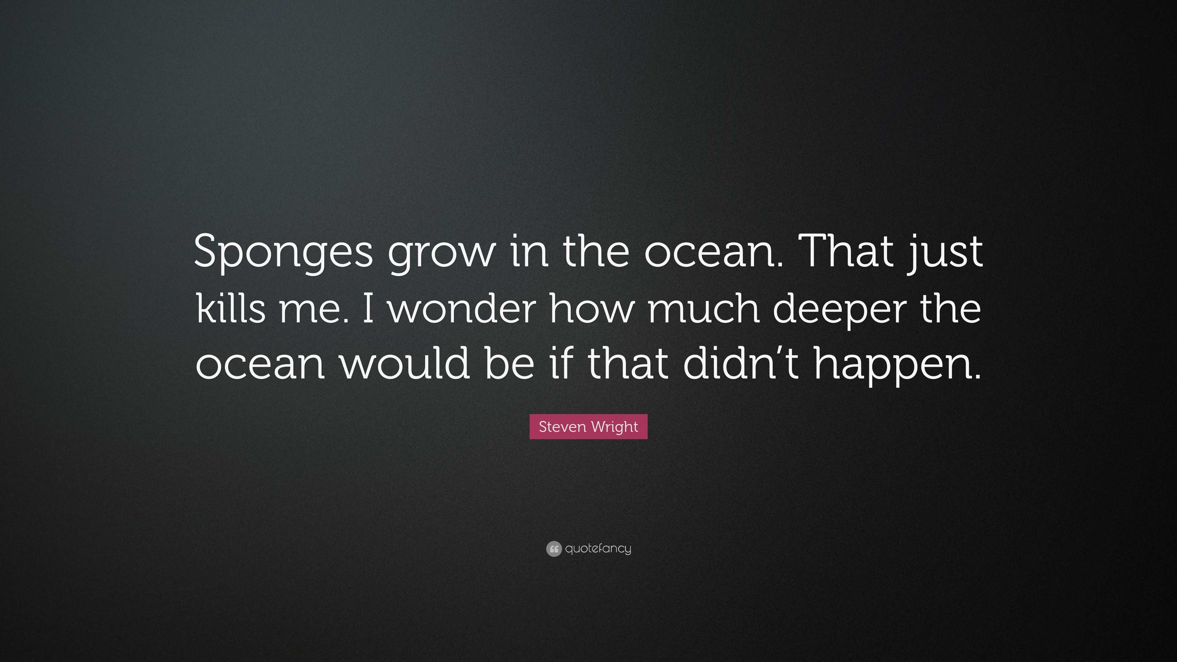 Steven Wright Quote “Sponges grow in the ocean. That just kills me. I