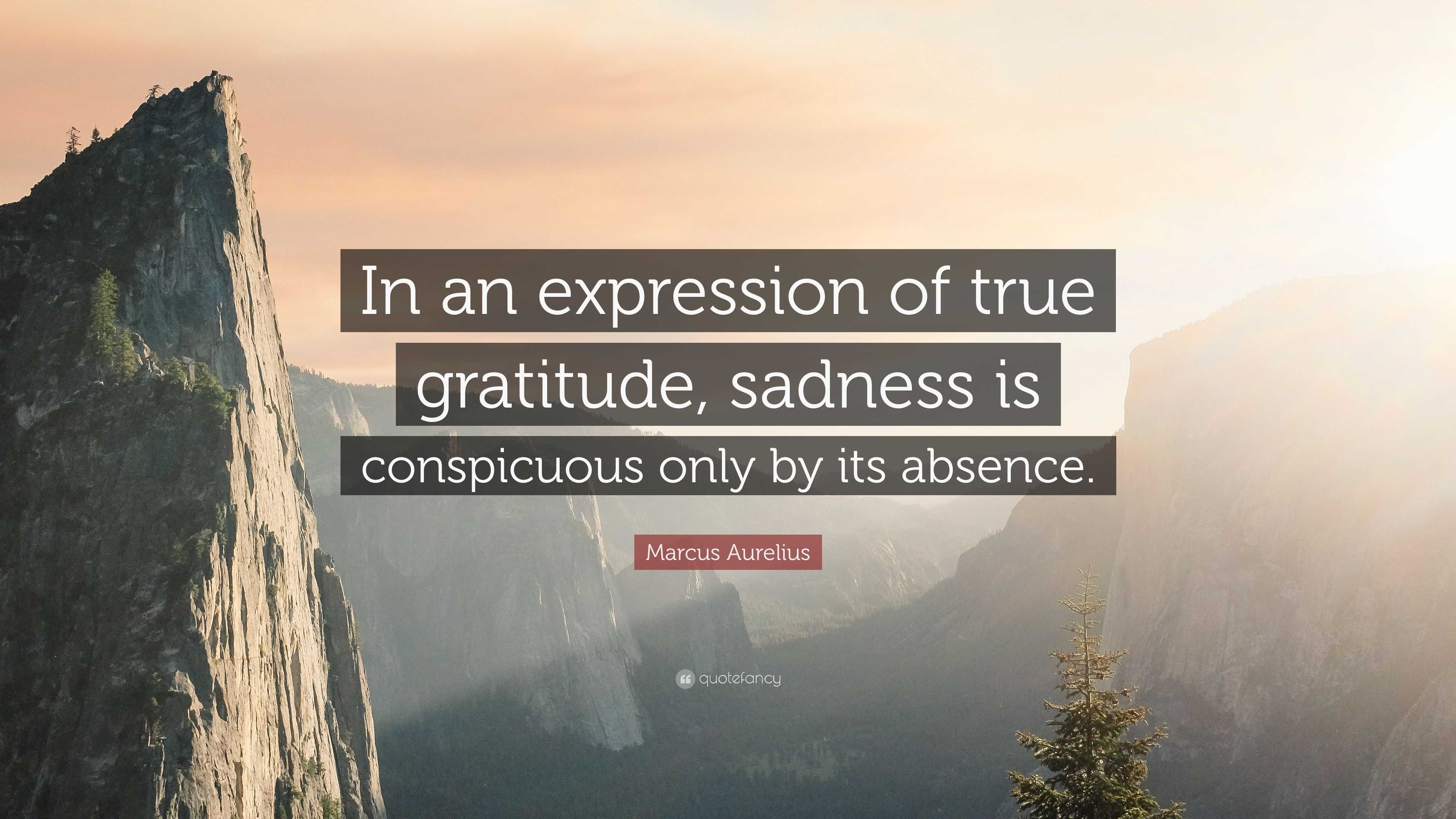 Marcus True Marcus Aurelius Quote: “In an expression of true gratitude, sadness is ...