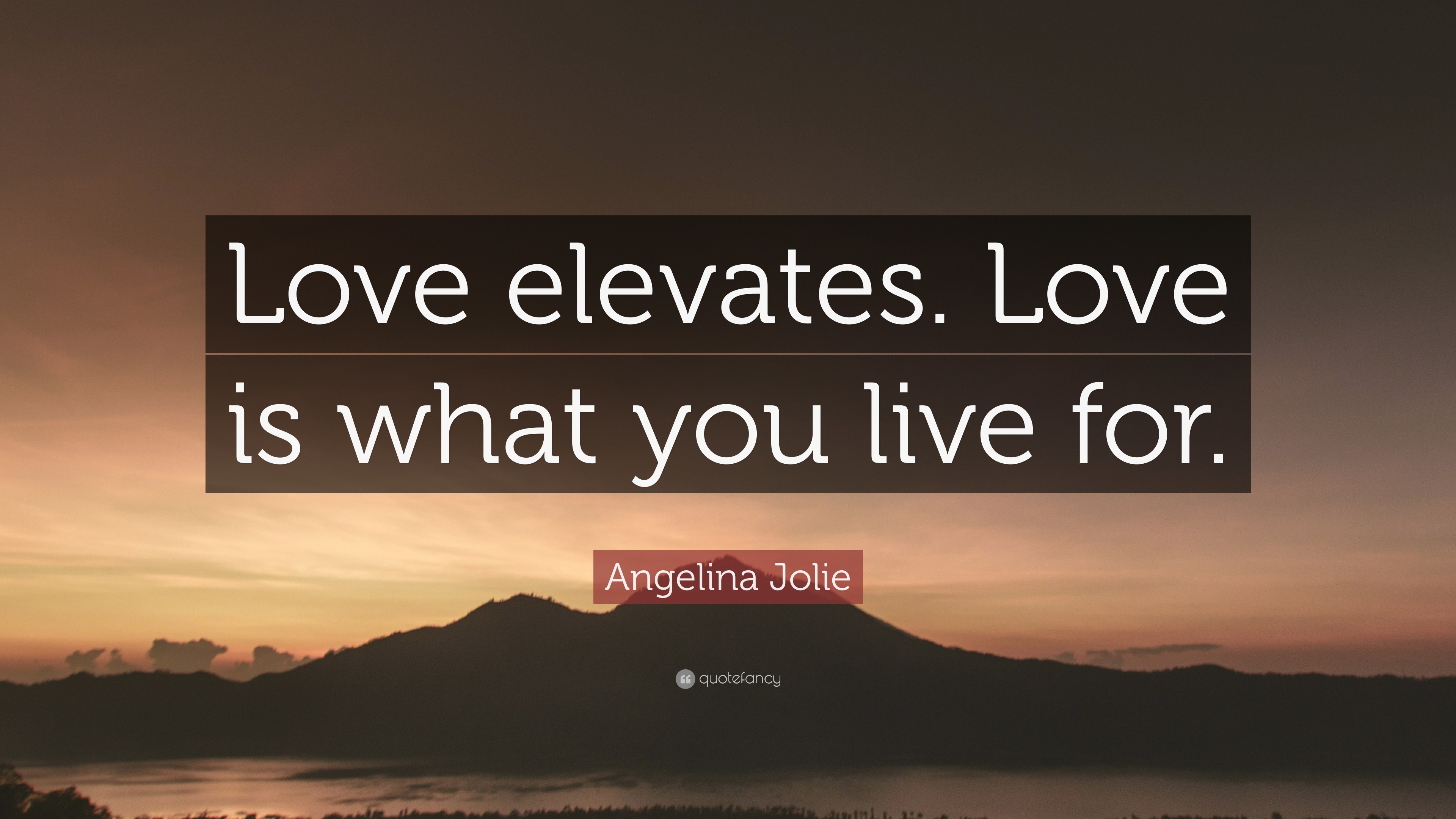 Angelina Jolie Quote: “Love elevates. Love is what you live for.”