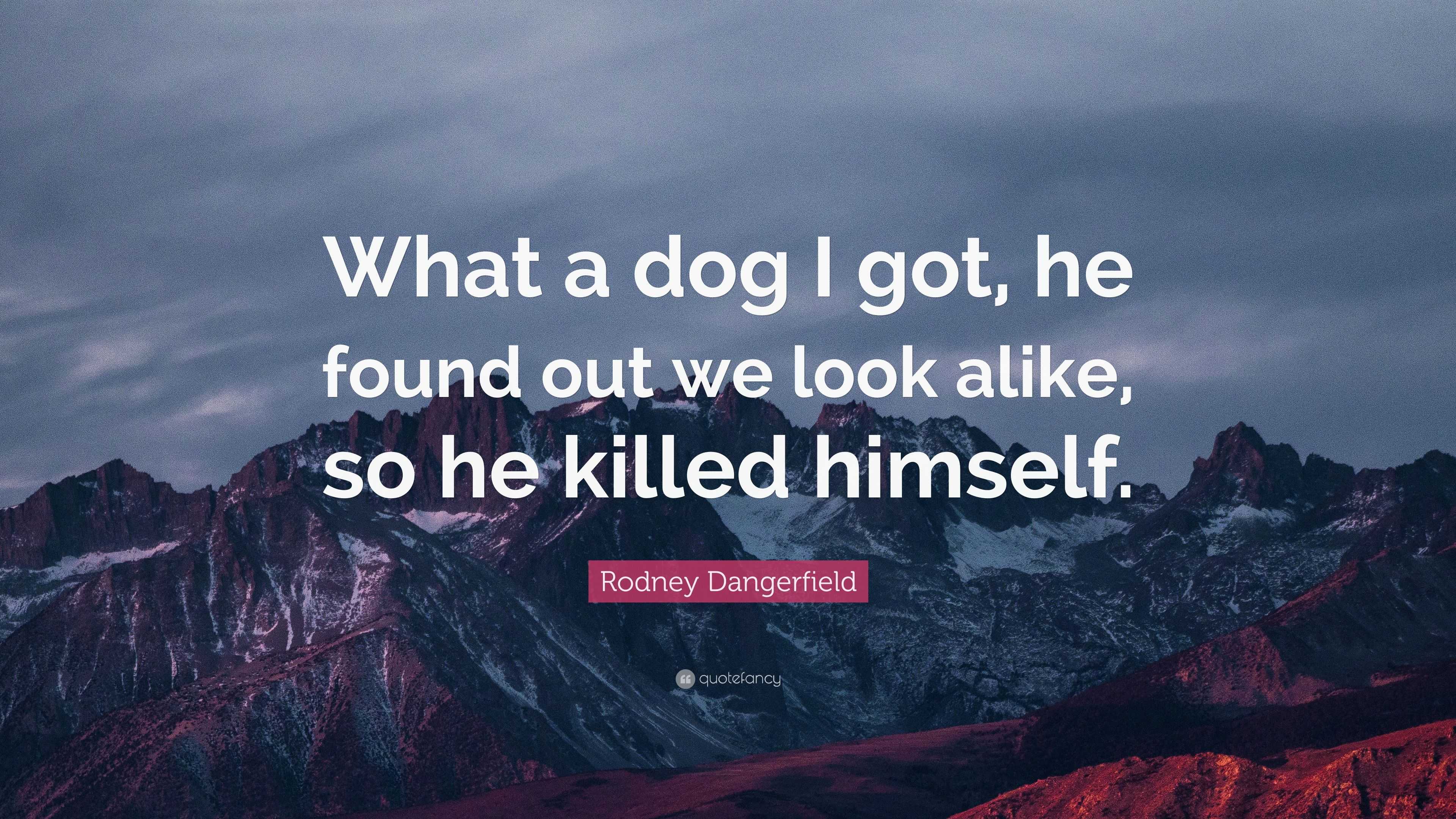 Rodney Dangerfield Quote: “What a dog I got, he found out we look alike ...