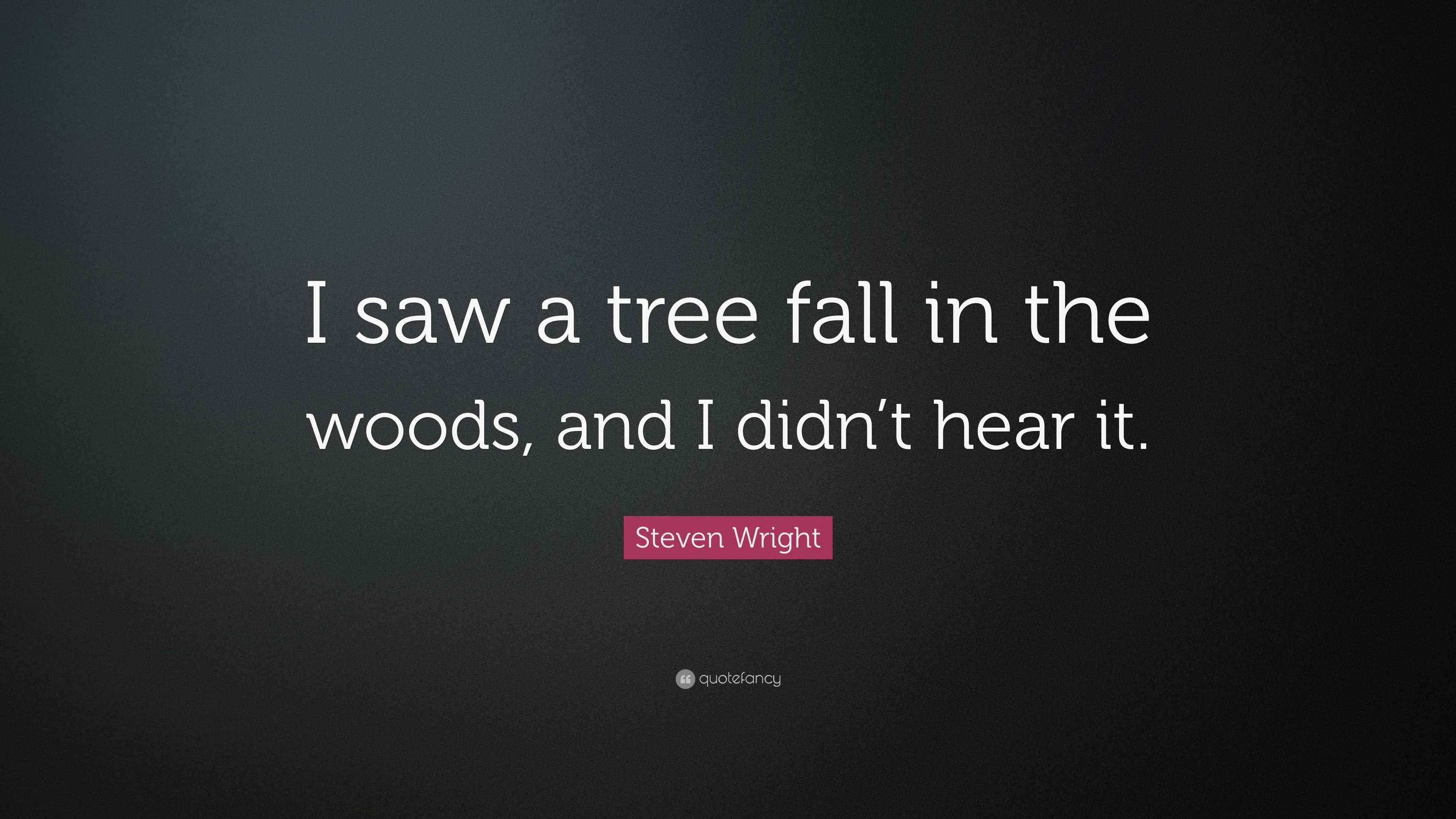 Steven Wright Quote “I saw a tree fall in the woods, and I didn’t hear